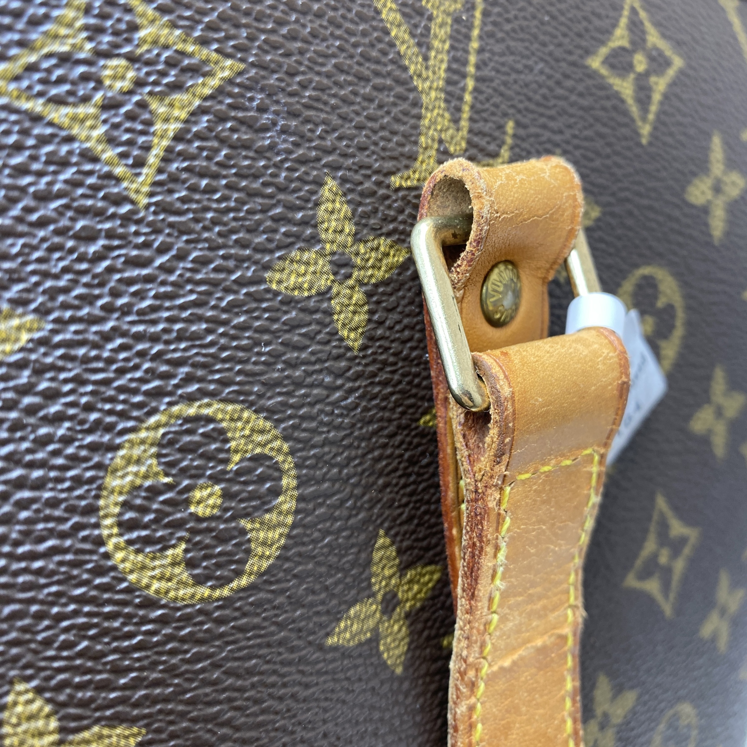 IMG_8737-1773645318279