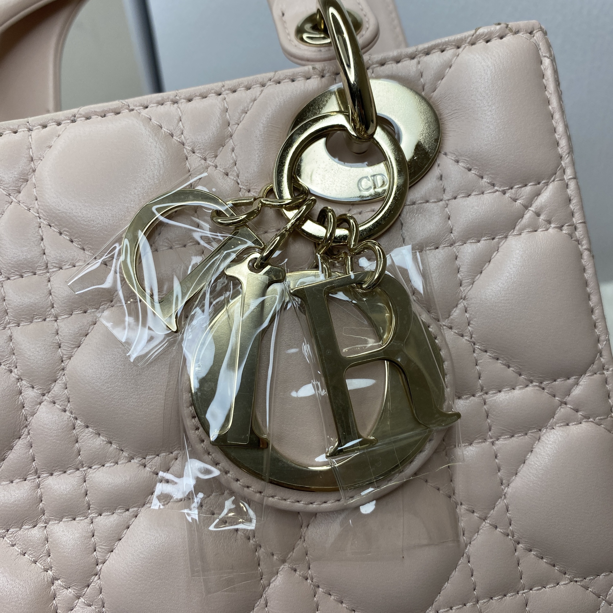 IMG_8889-1773807276910