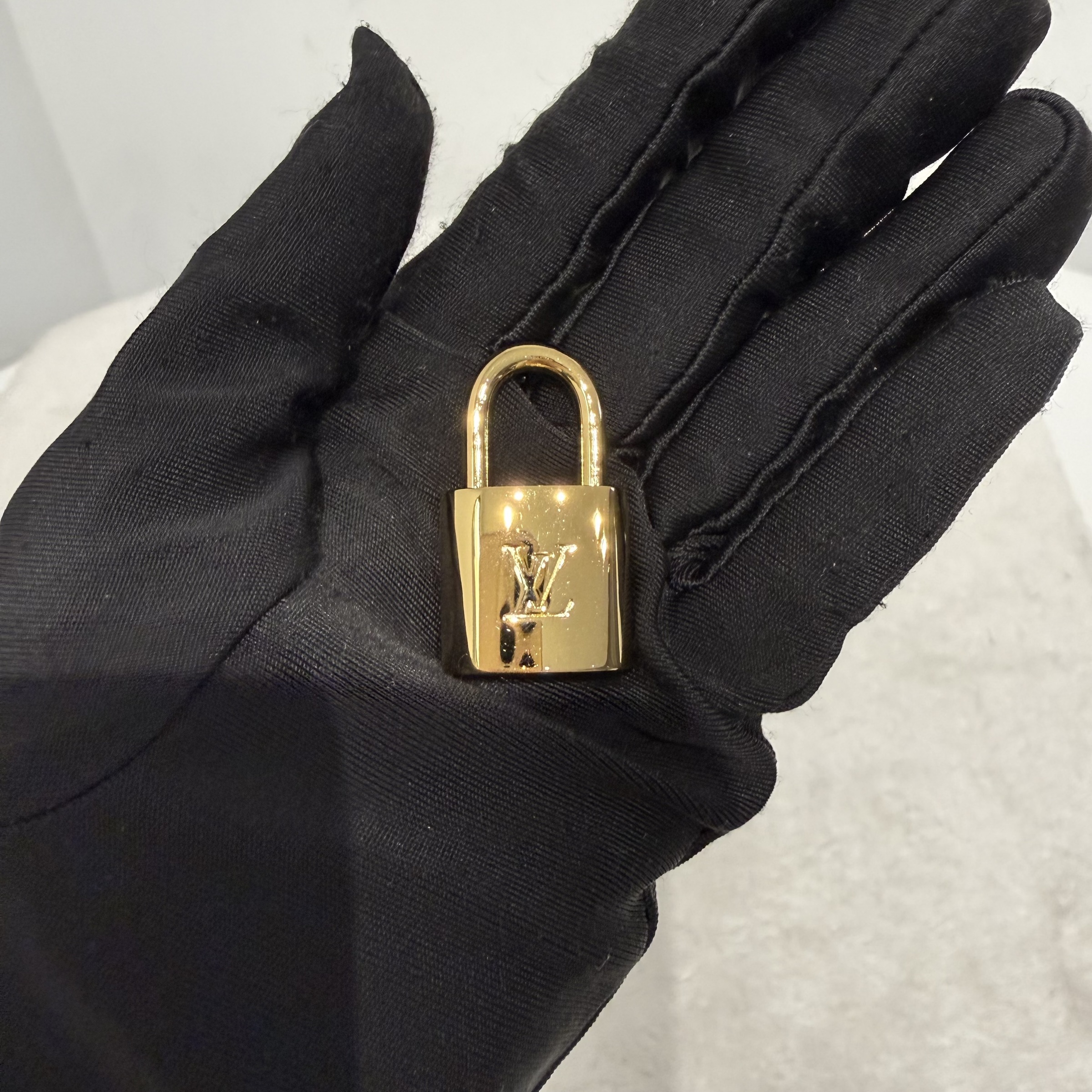 image_A359891A-1936-4ECF-BDEE-31D32033844F_1773892406