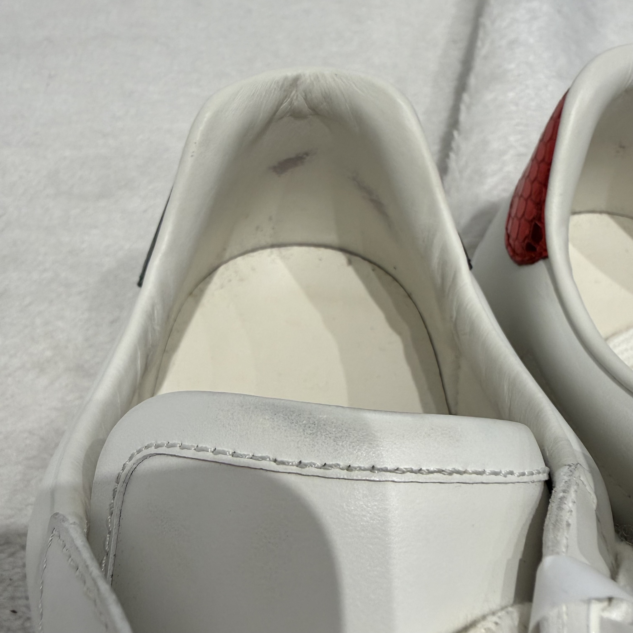 image_3D14D1F9-22F8-4F63-8CAD-AE7B7CB15C65_1773972449