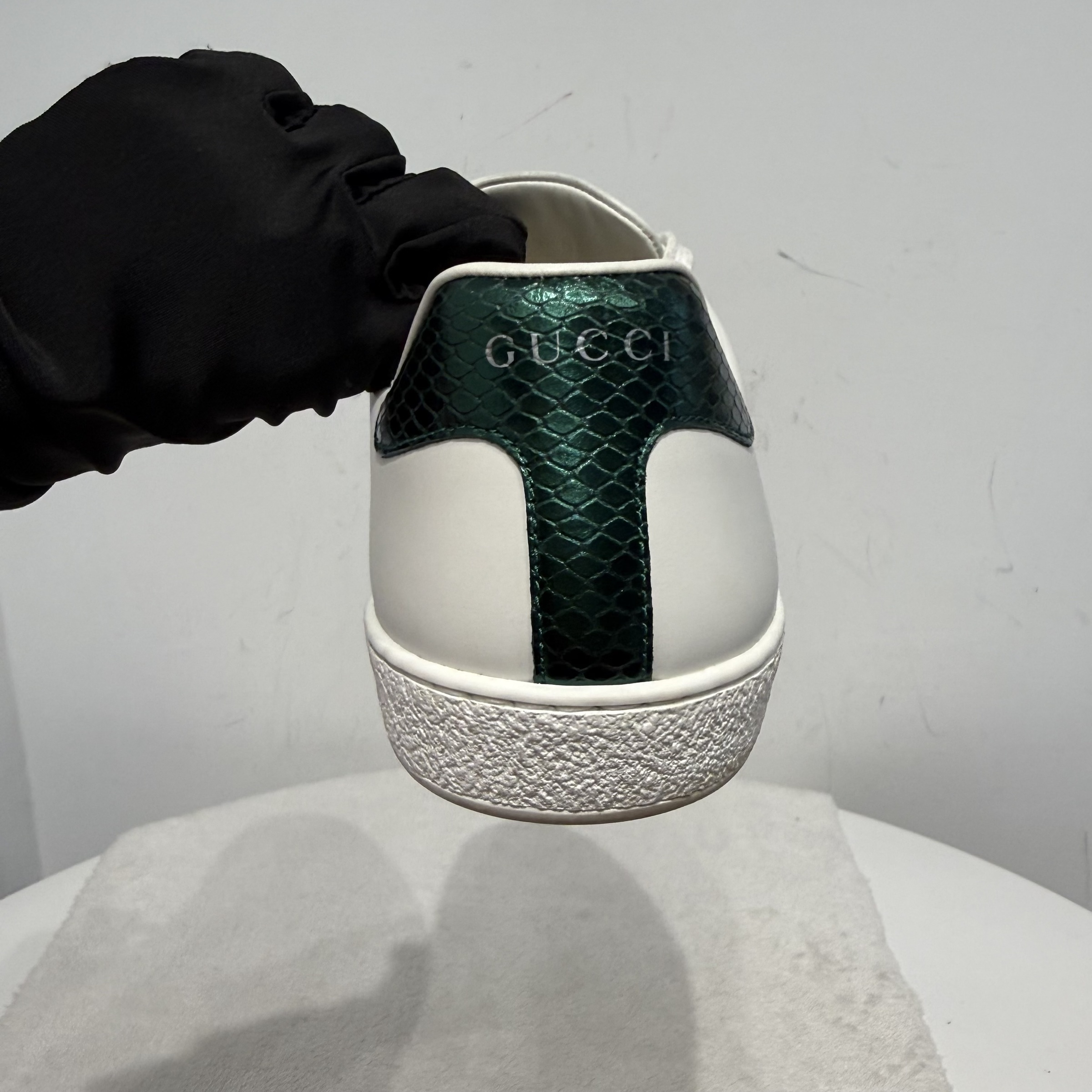 image_505B2A28-136A-42CA-B84F-17F3AD7DB223_1773972449