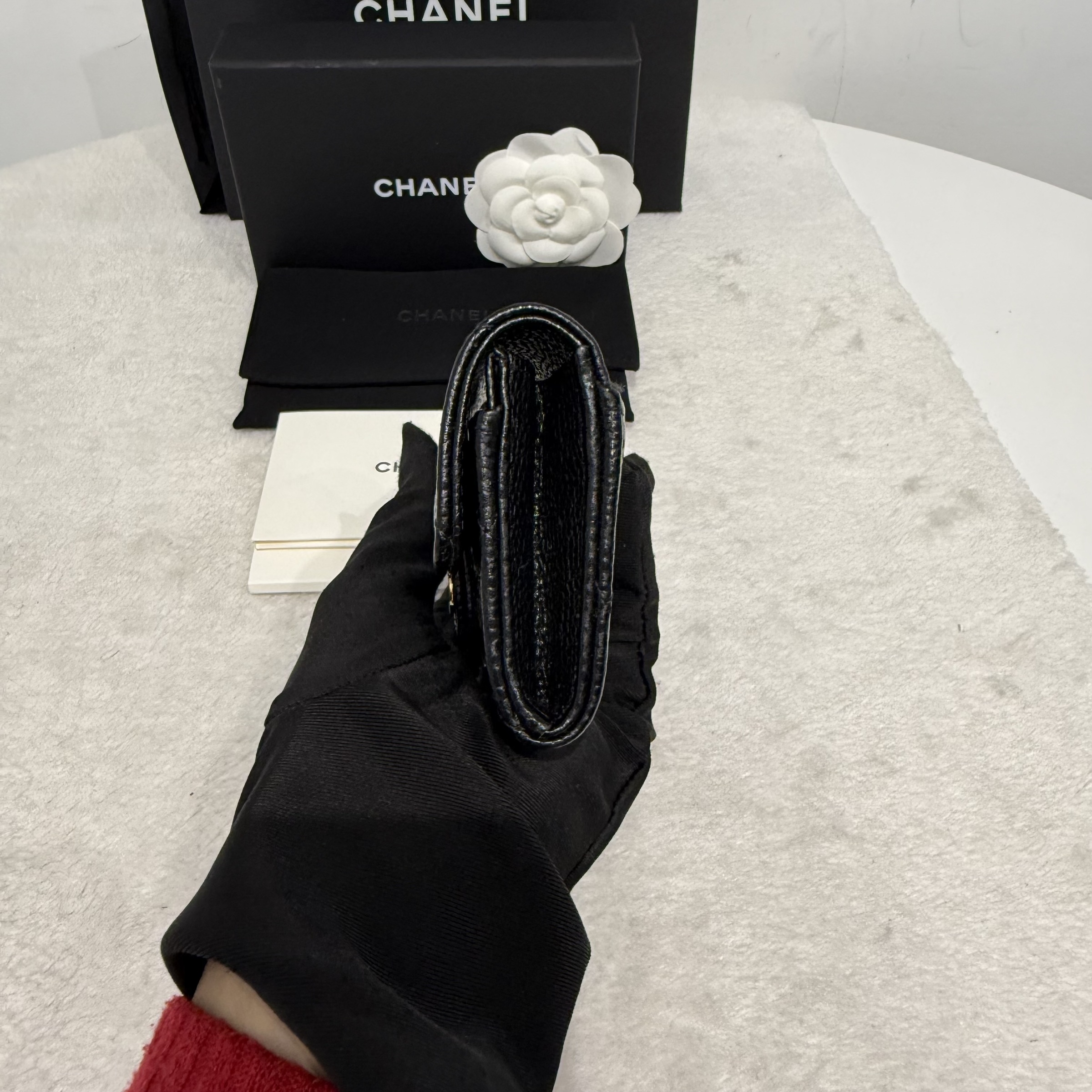 image_D8F25692-6823-4BF9-AF6D-7E3E9667A884_1773981133