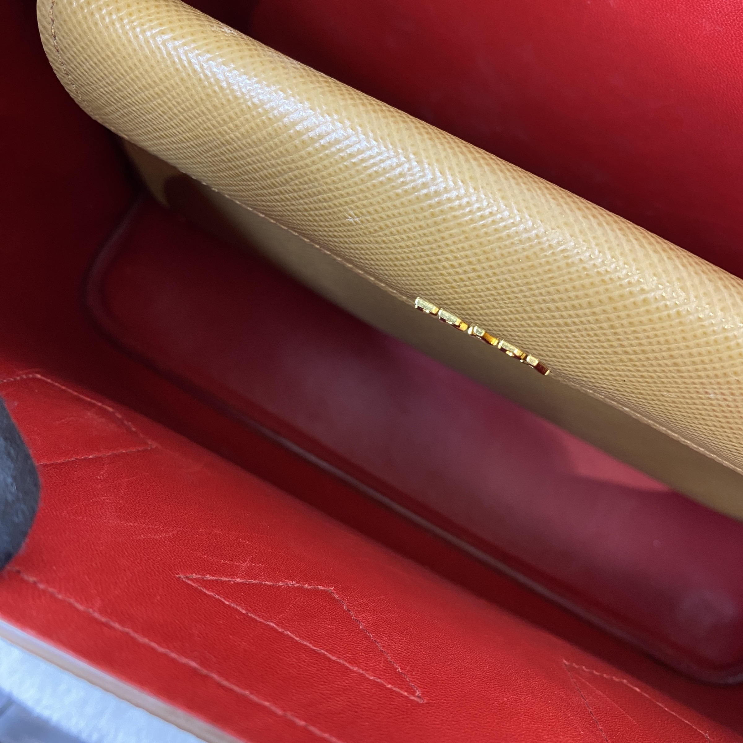 IMG_9227-1774423218225