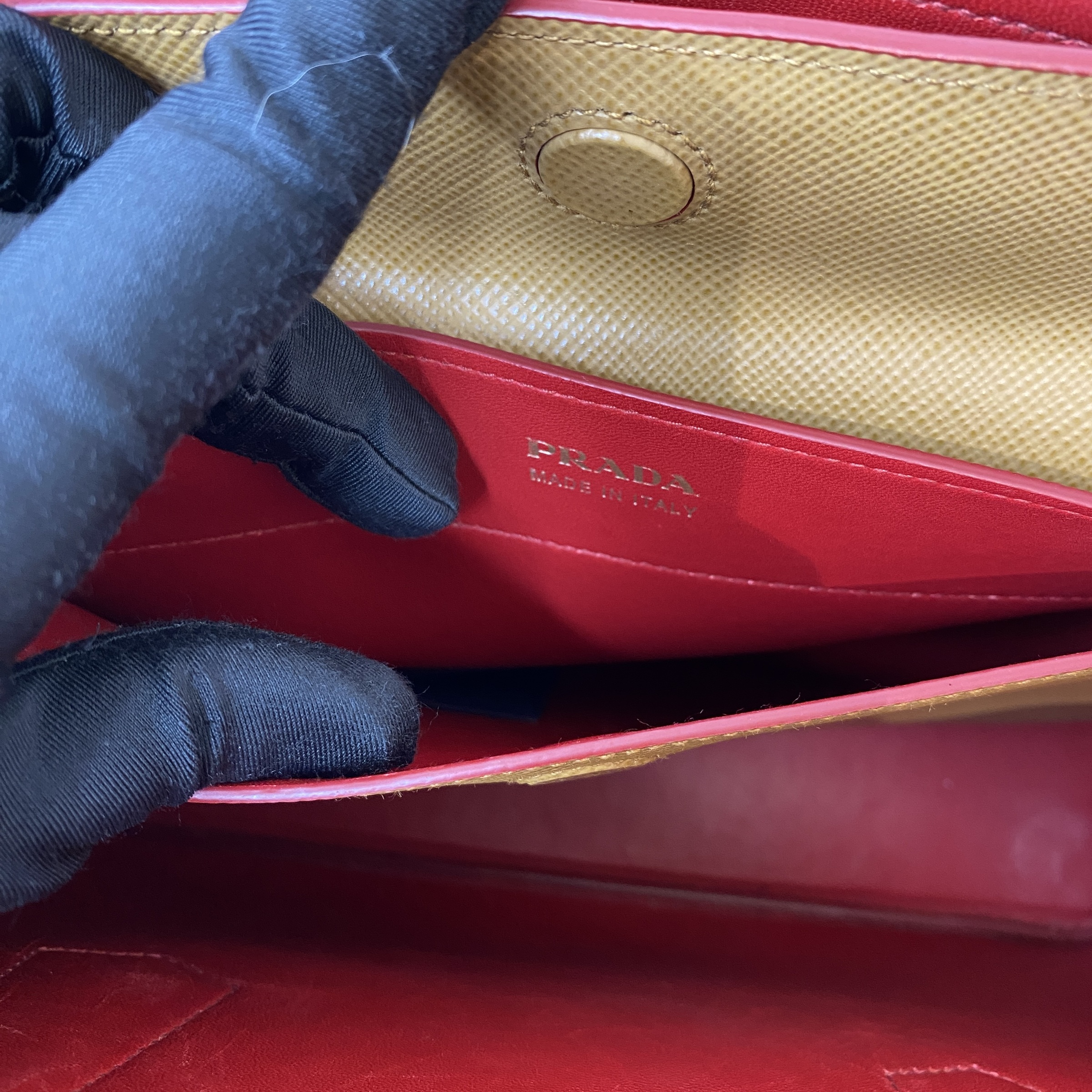 IMG_9229-1774423220002