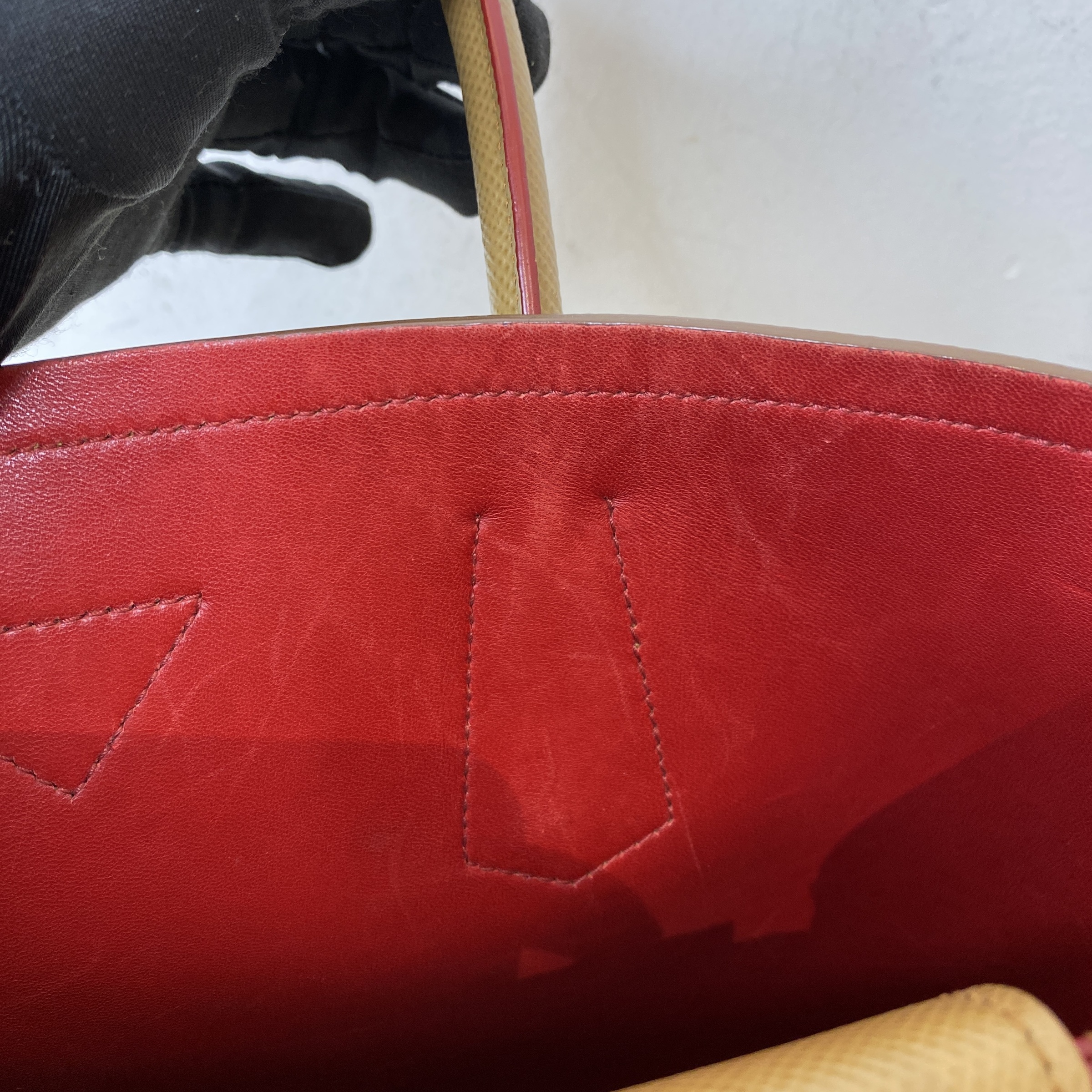 IMG_9231-1774423216369