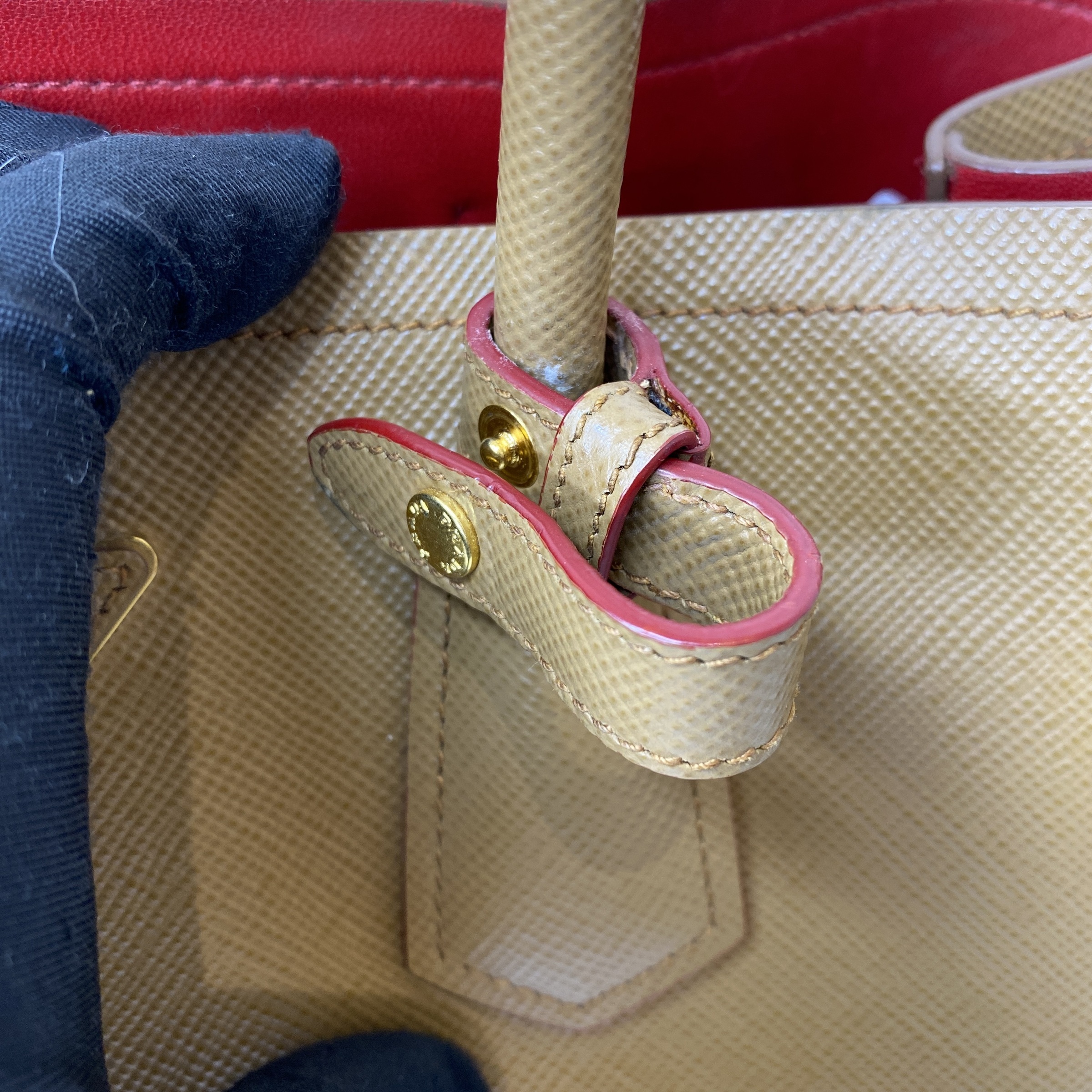 IMG_9238-1774423216202