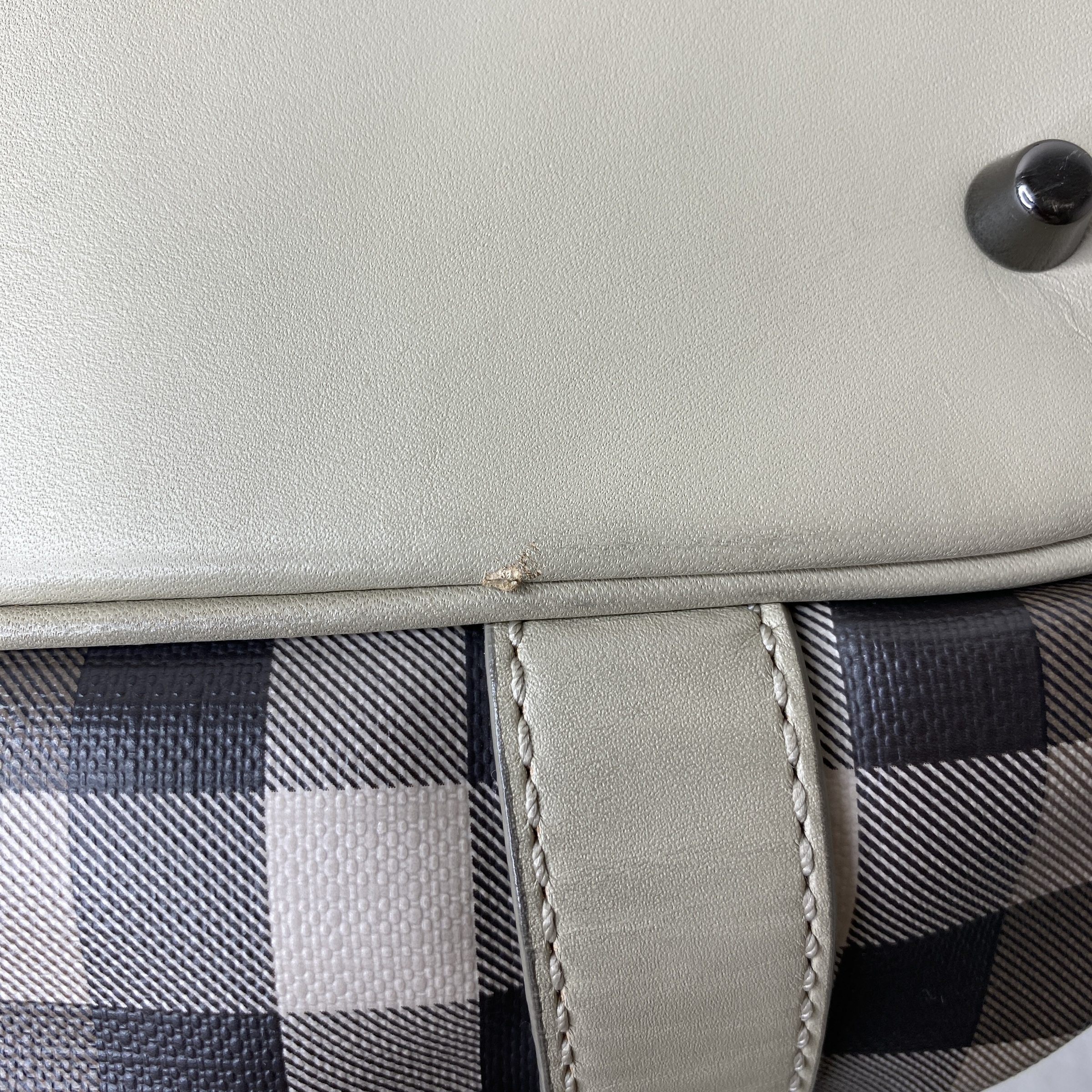 IMG_9384-1774603094059