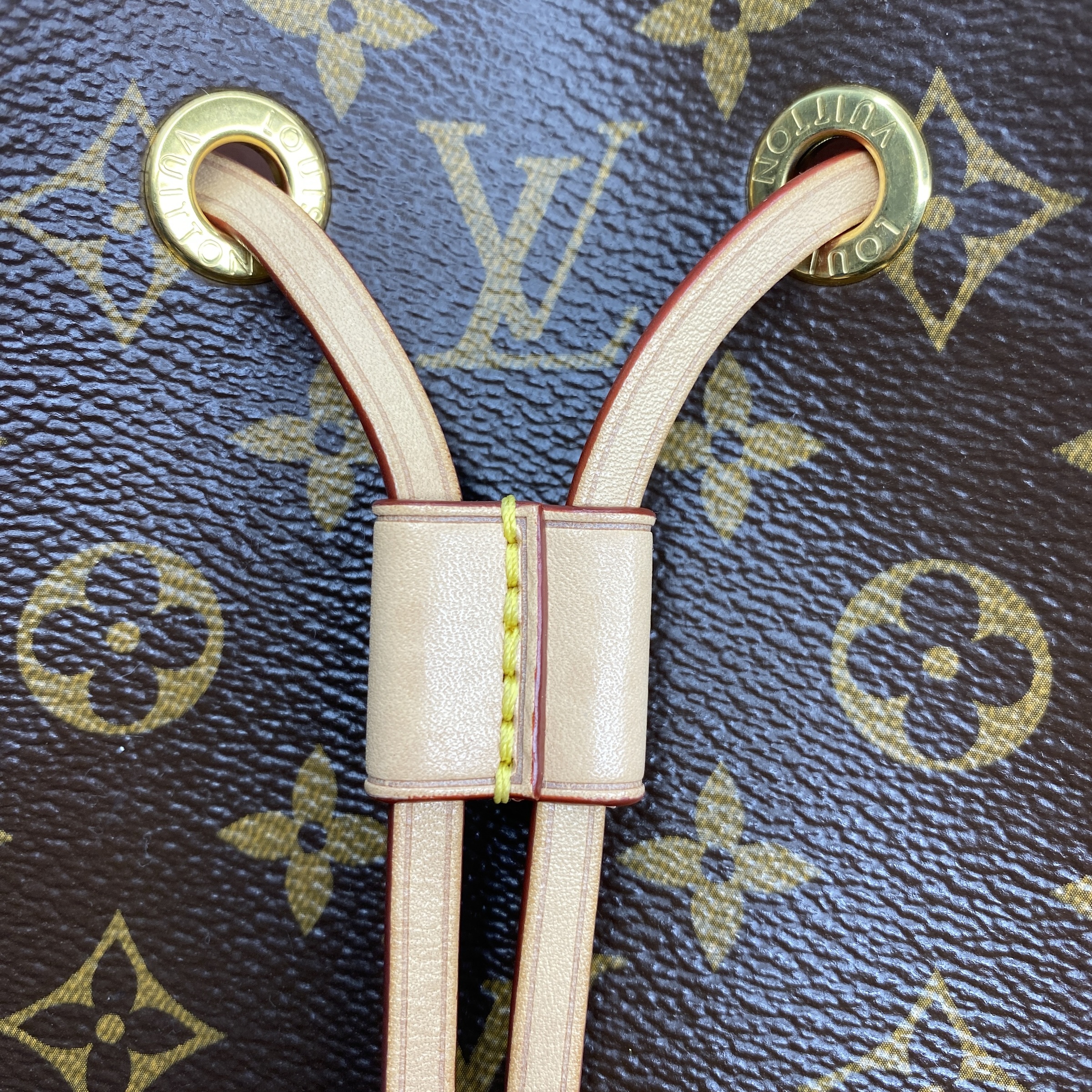 IMG_0414-1776312872458