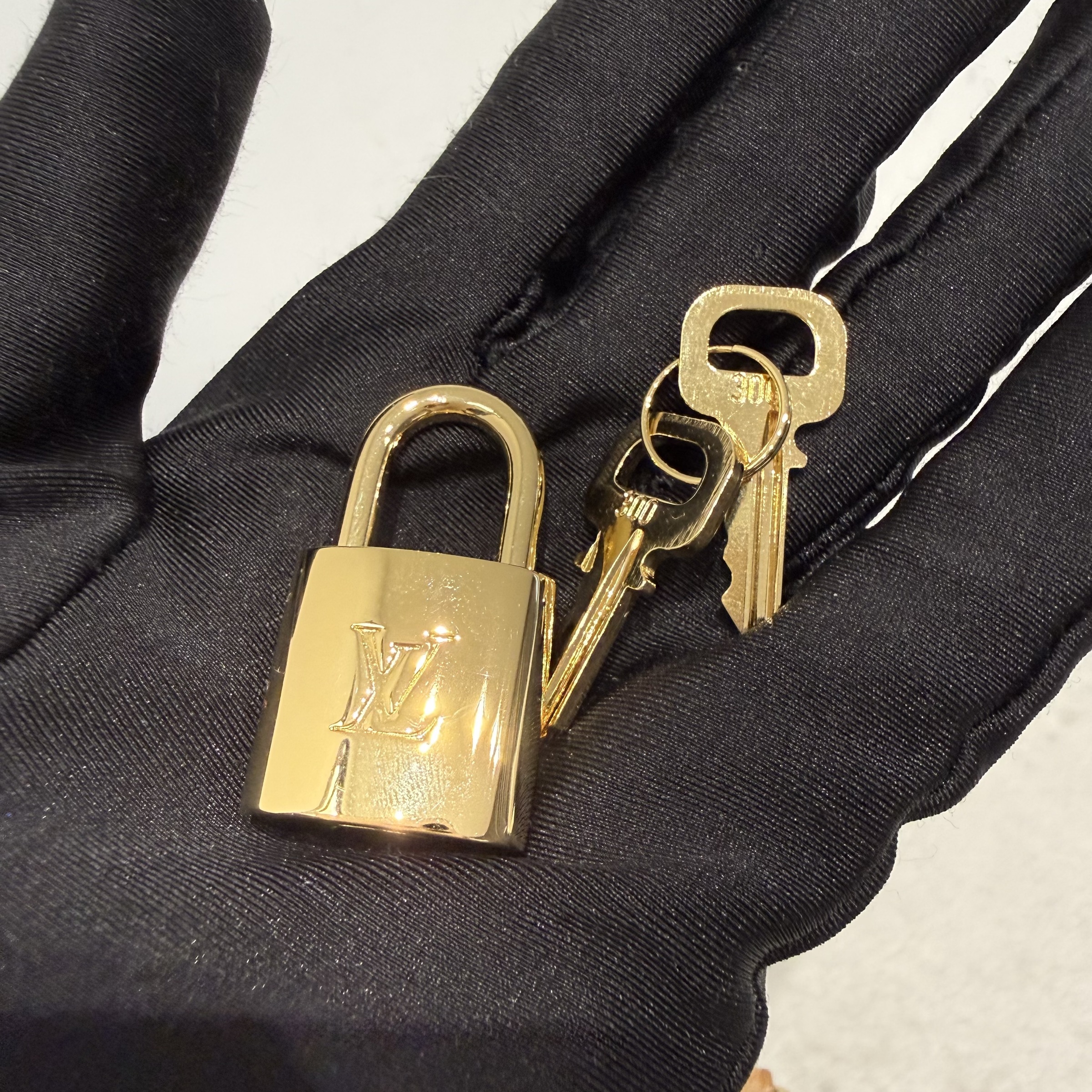 image_D4C21169-FC82-4009-9729-23414EEB556C_1776748494