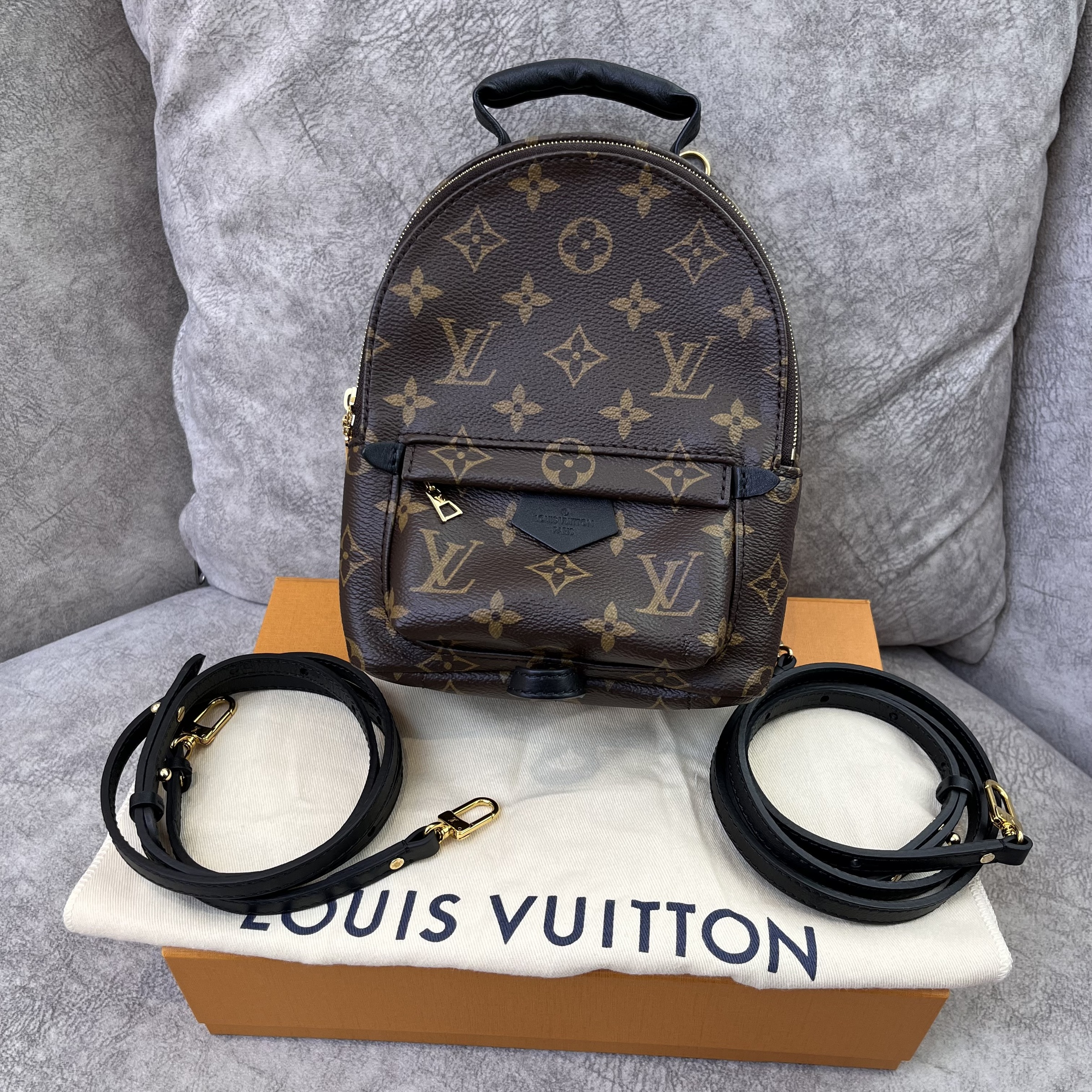 Louis Vuitton Palm Springs Backpack Mini Reviewer