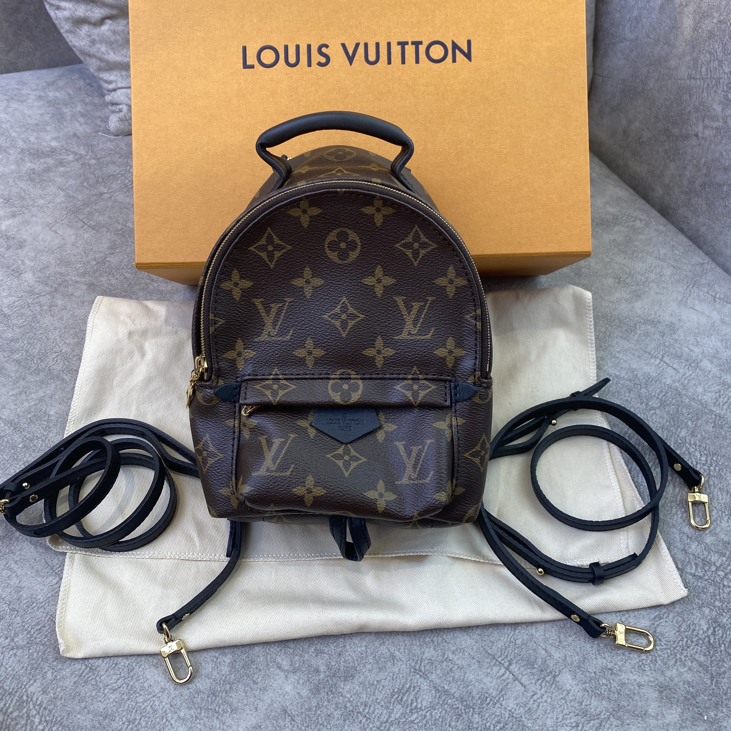 Louis Vuitton LV GHW Palm Springs Mini Backpack Rucksack Monogram Brwon  Black