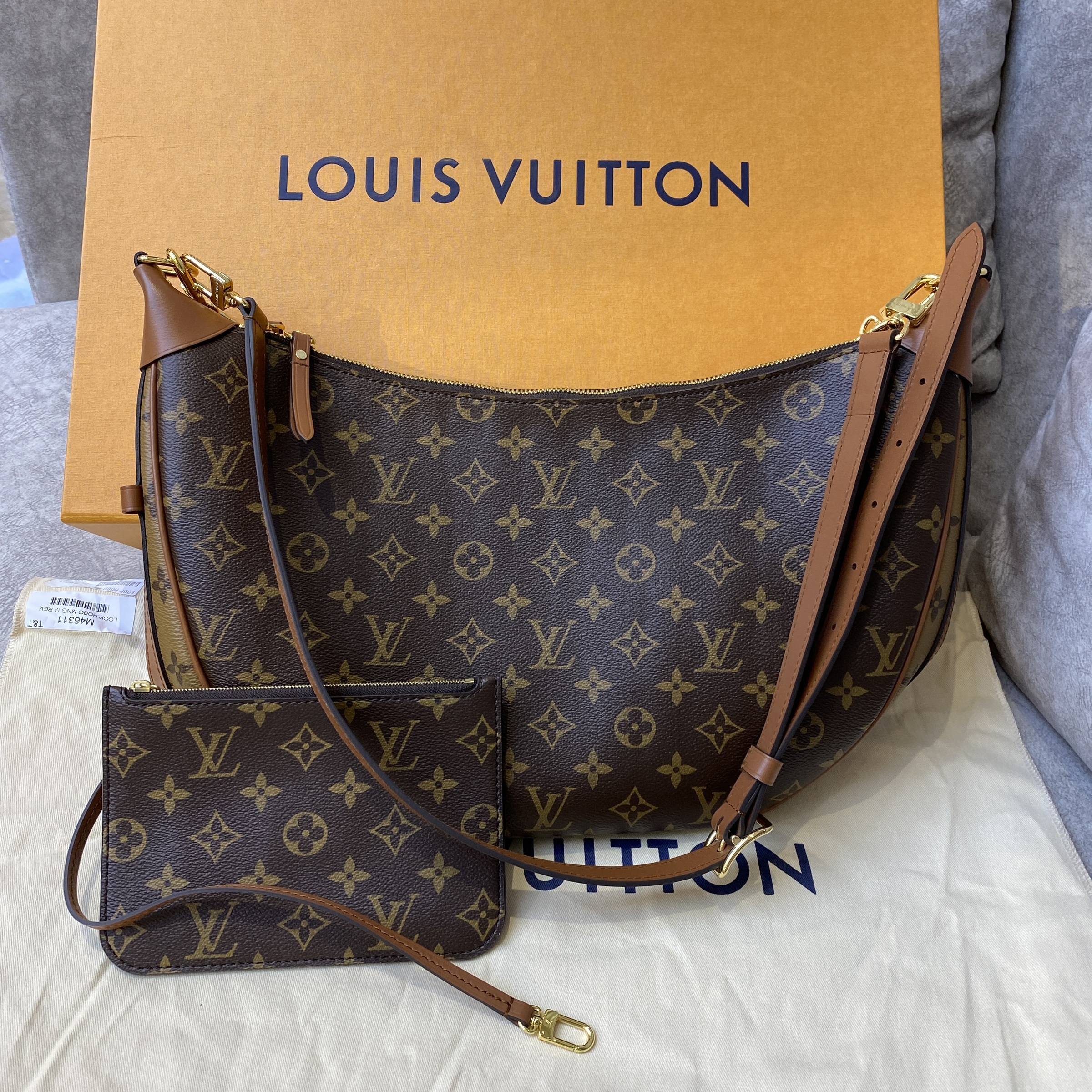 Louis Vuitton Monogram Loop Hobo M46311