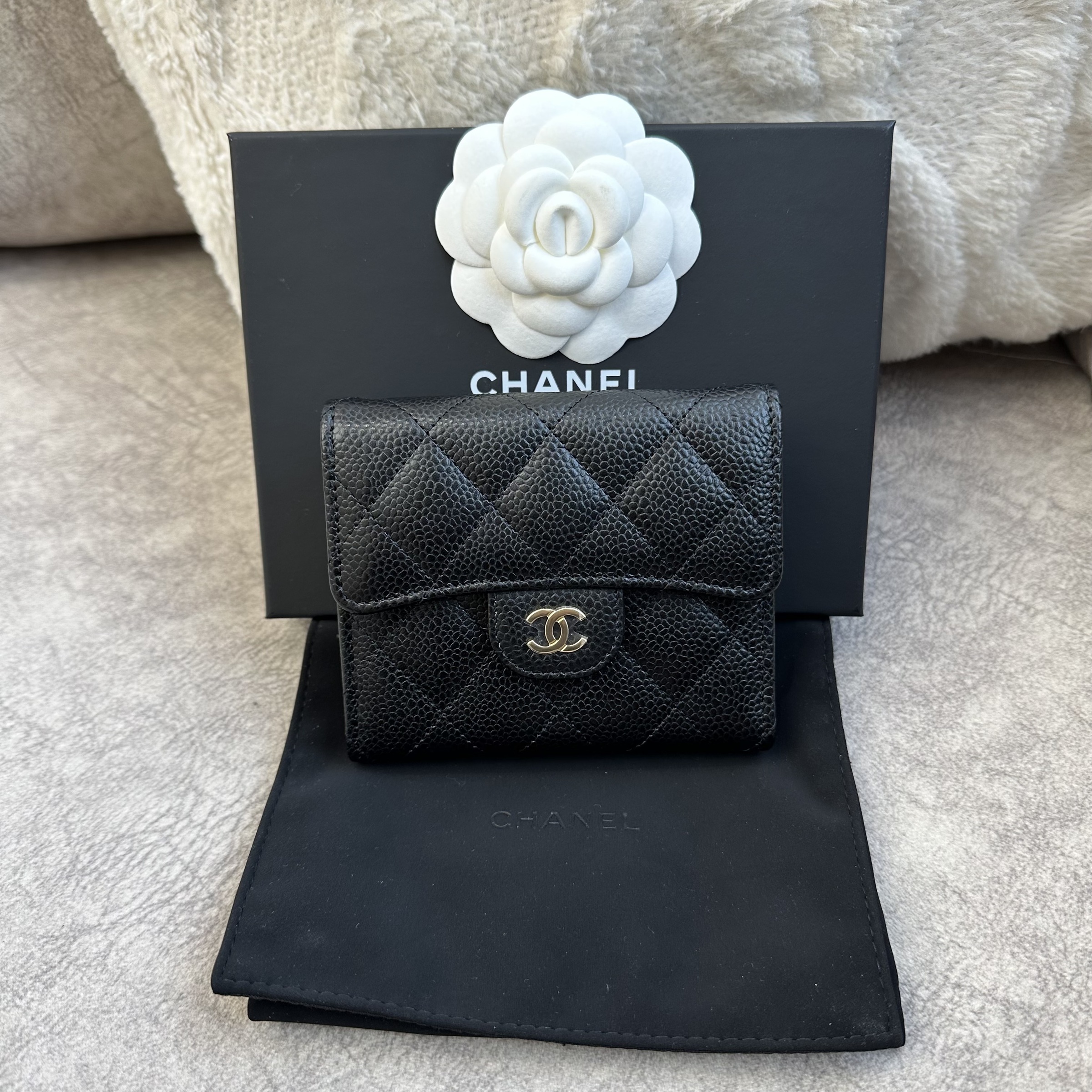 IMG_7528-1724567266745