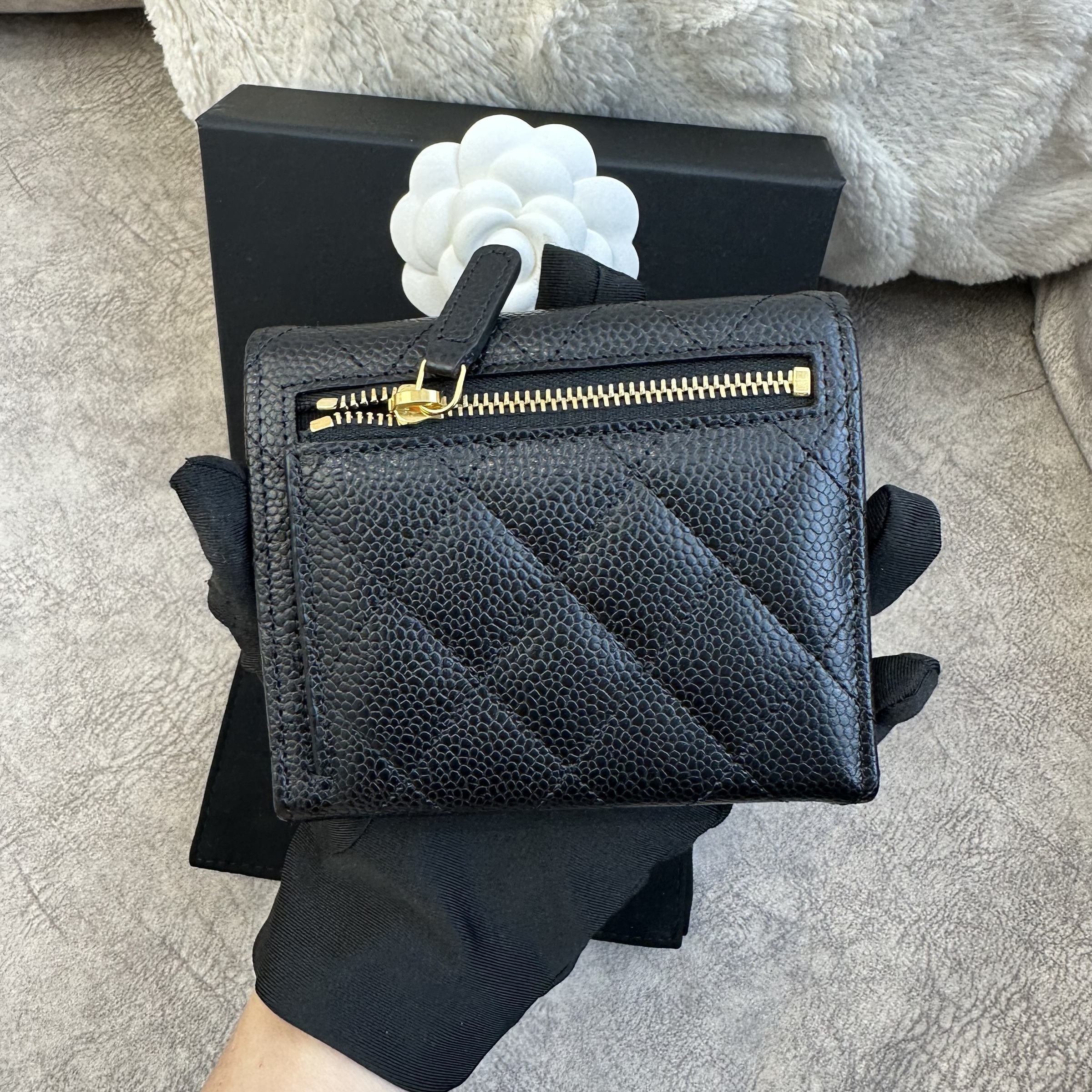 IMG_7529-1724567266879