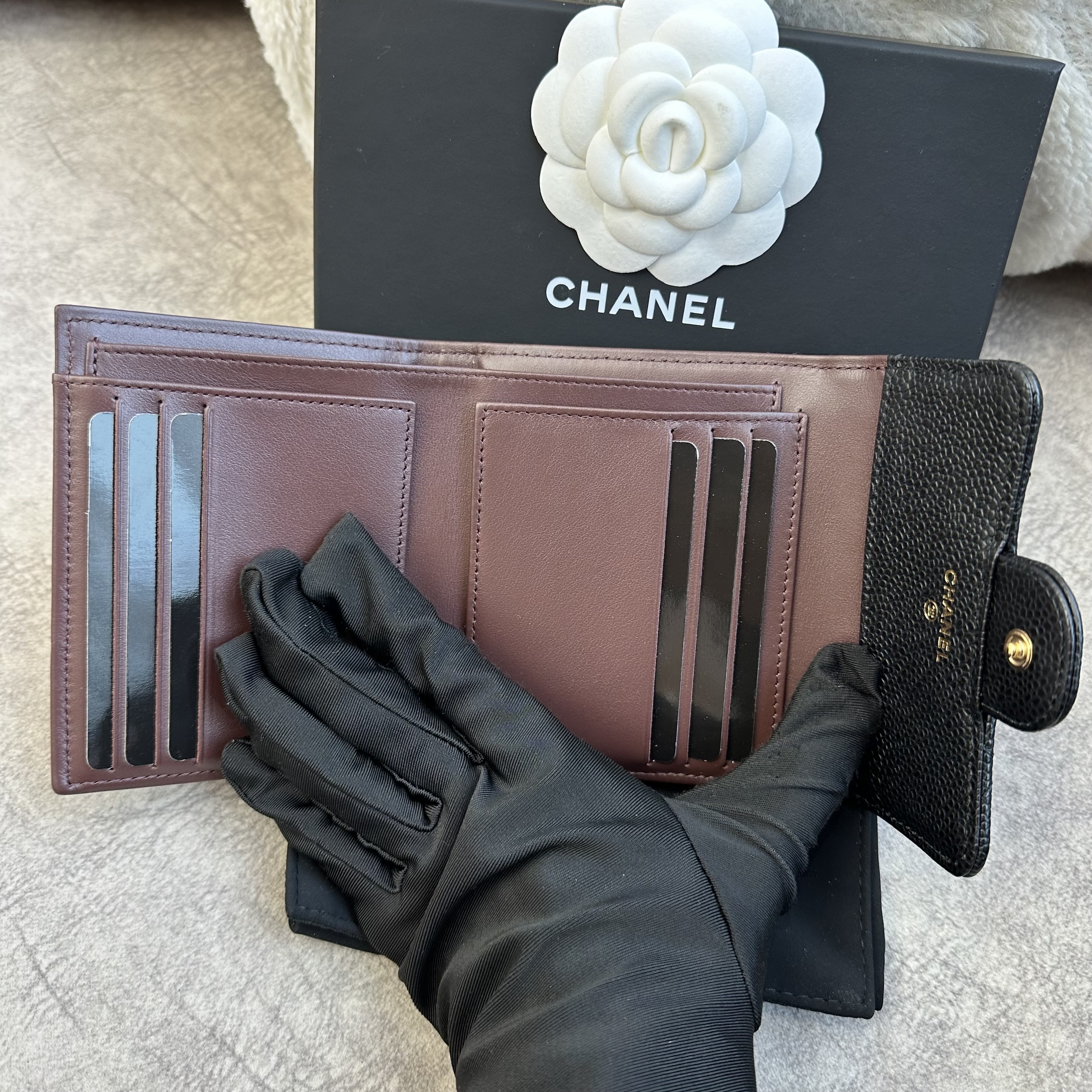 IMG_7530-1724567267028