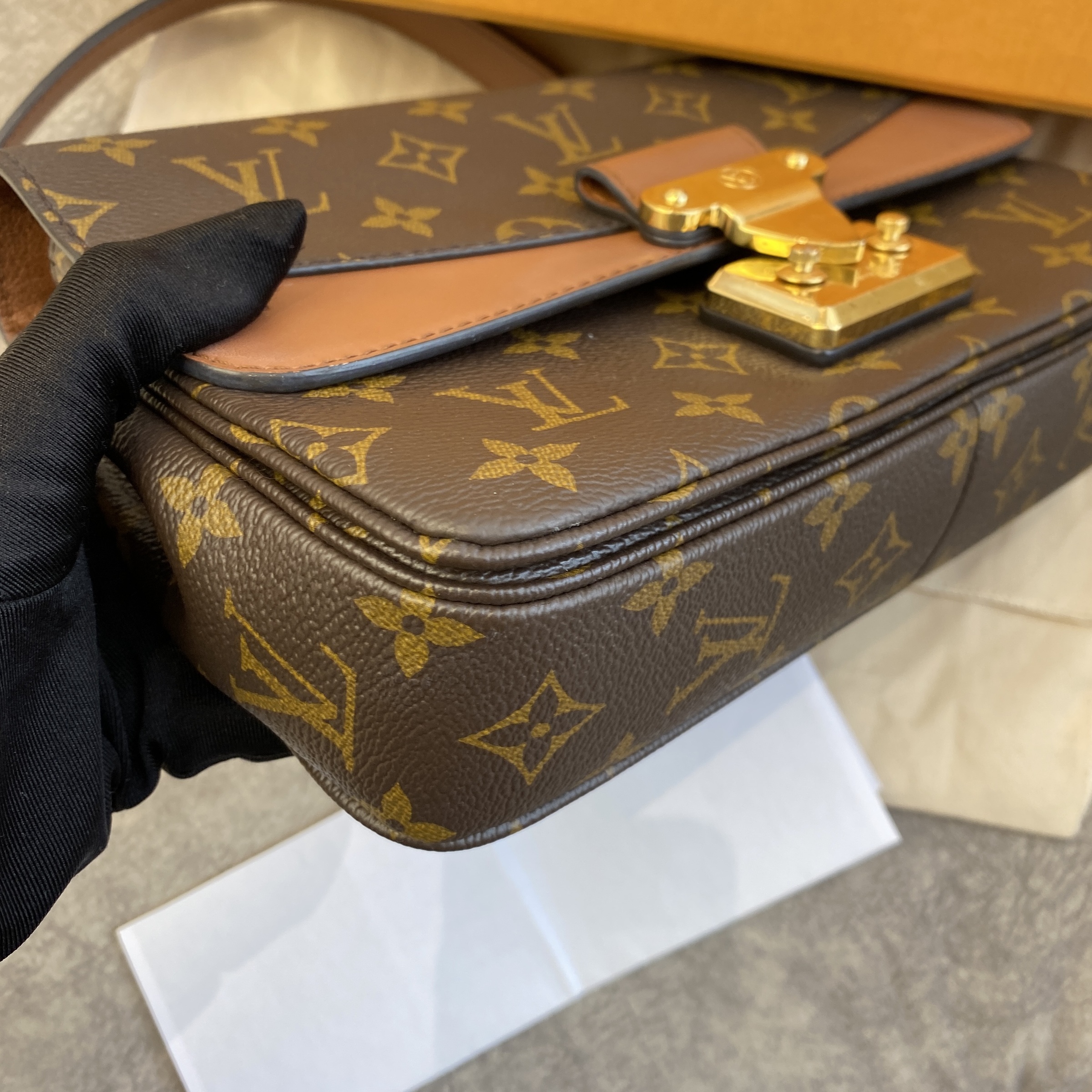 IMG_1903-1731218003655