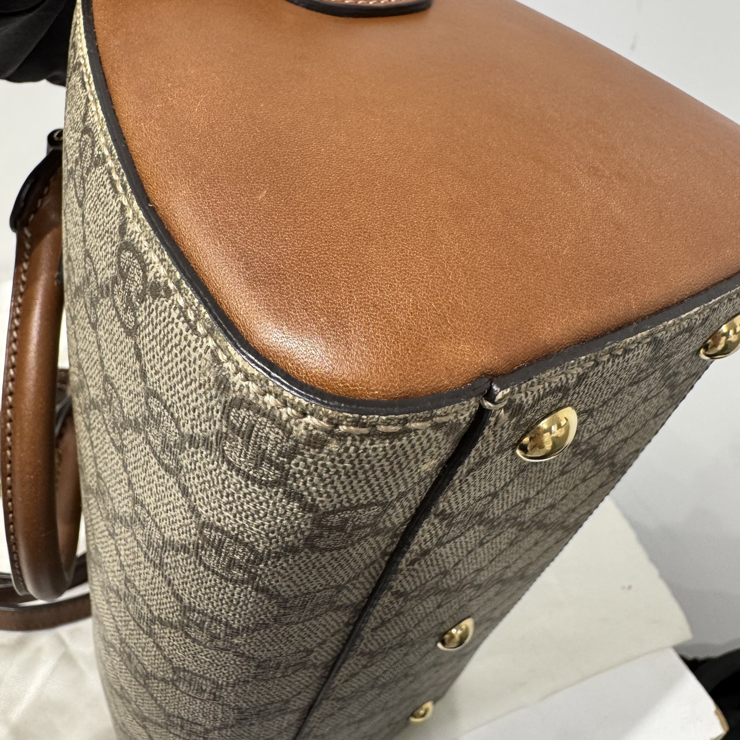 image_FCA8C4DE-DD18-42A9-BBD0-A37FE0BB432A_1753343367