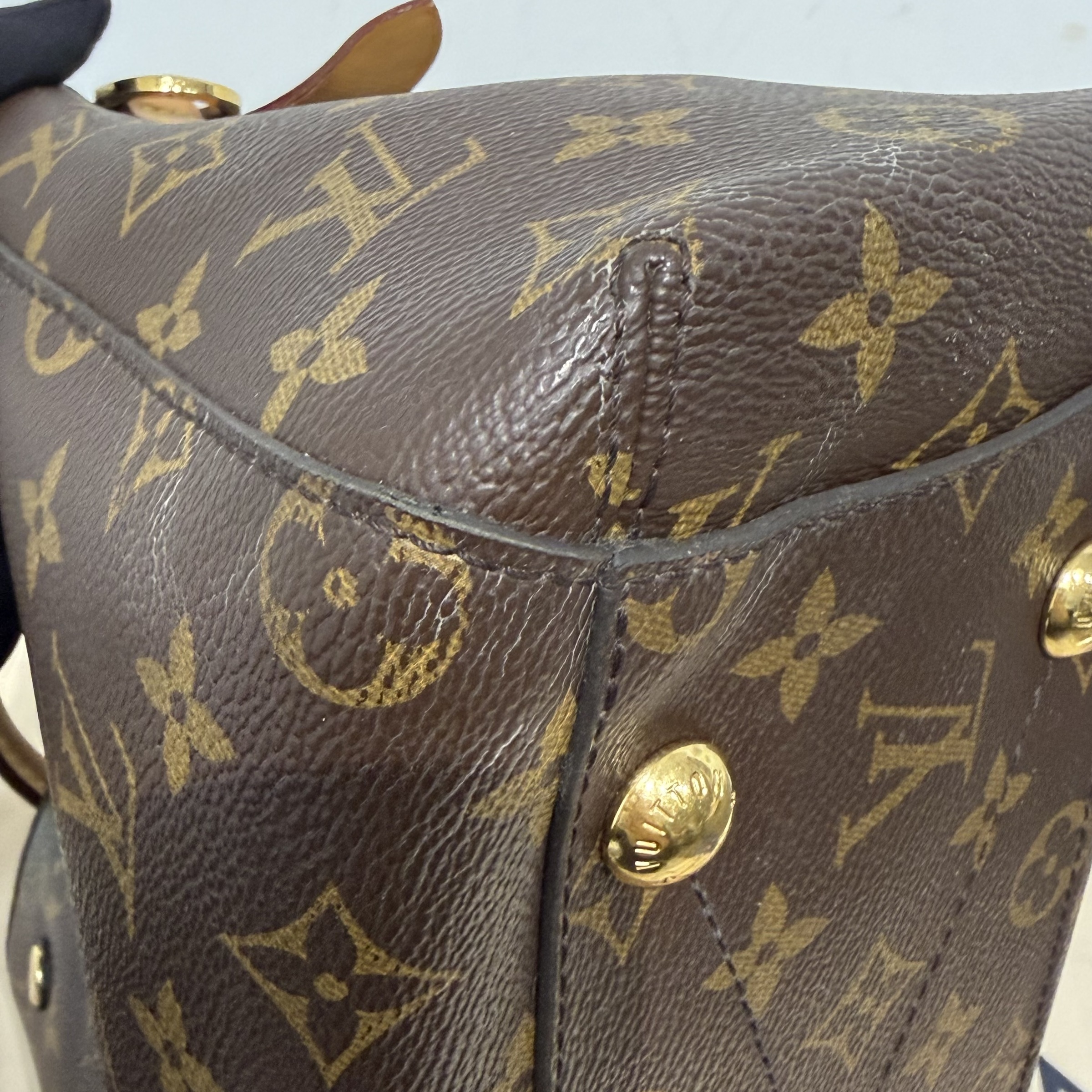 image_BDC1A099-5C5D-4486-A74B-6AAD502CC465_1759768289