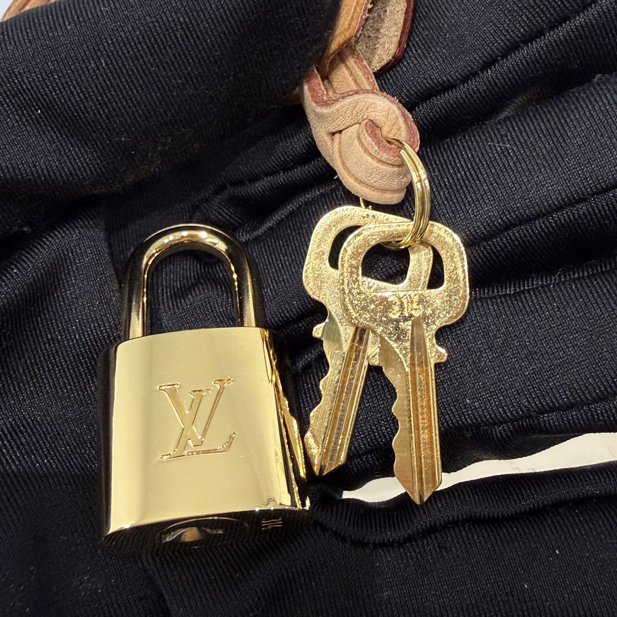 image_4193772D-041A-4F39-971B-E7A21C2F472A_1760324231