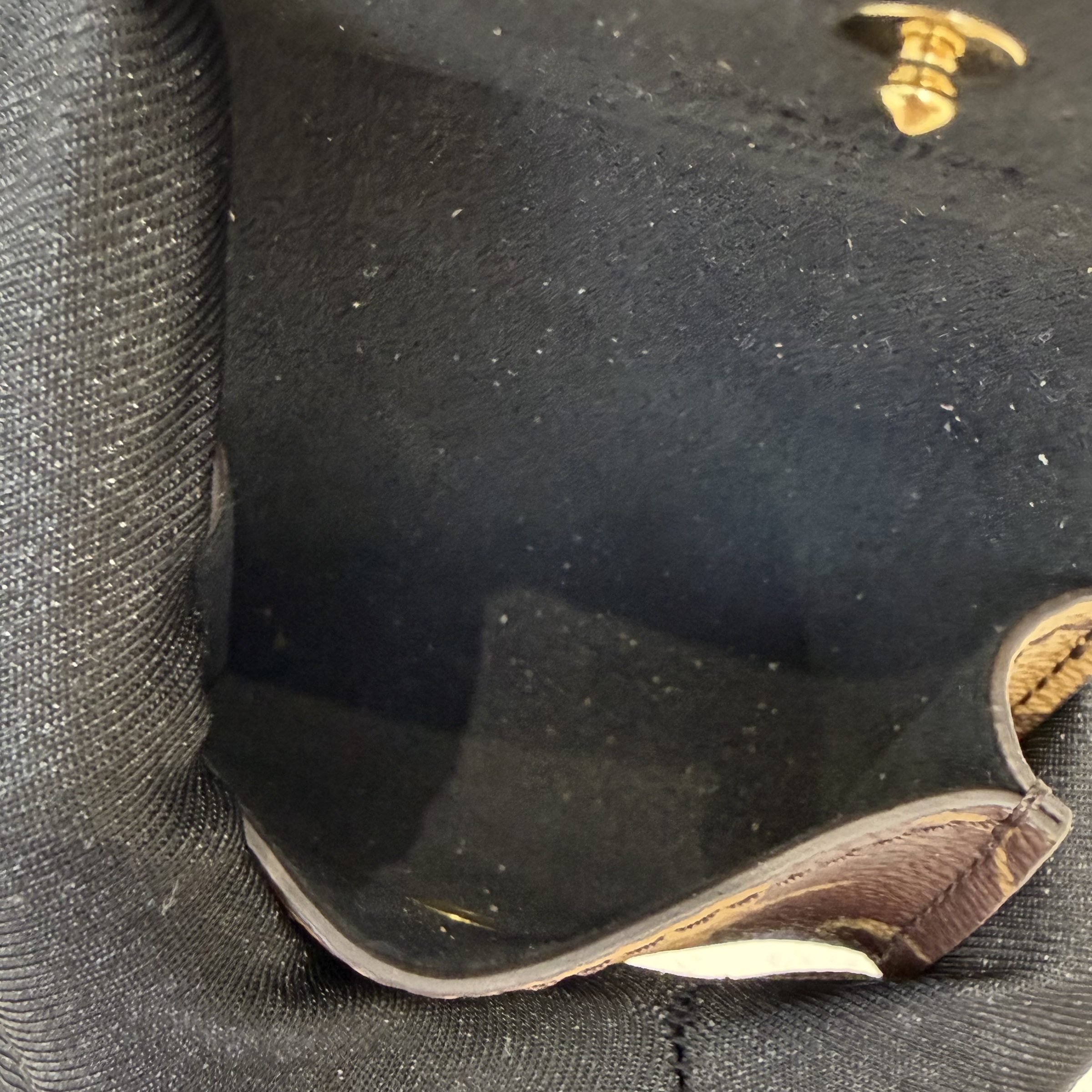 image_61FF30CD-48CA-489E-9743-05D2A4E8B77D_1761641378