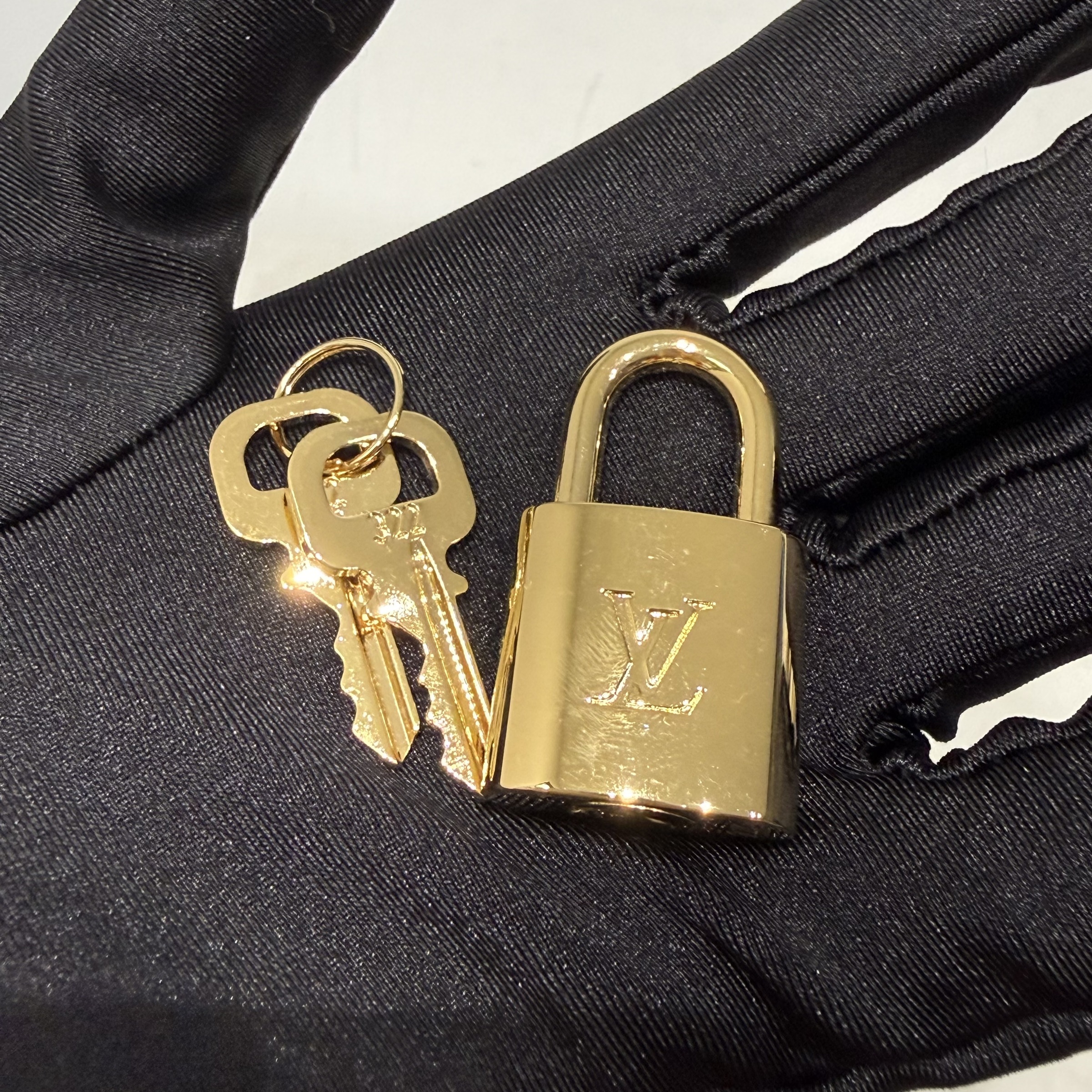 image_B0981B49-94D8-4D57-94A6-D1E8F3A7296C_1761738163