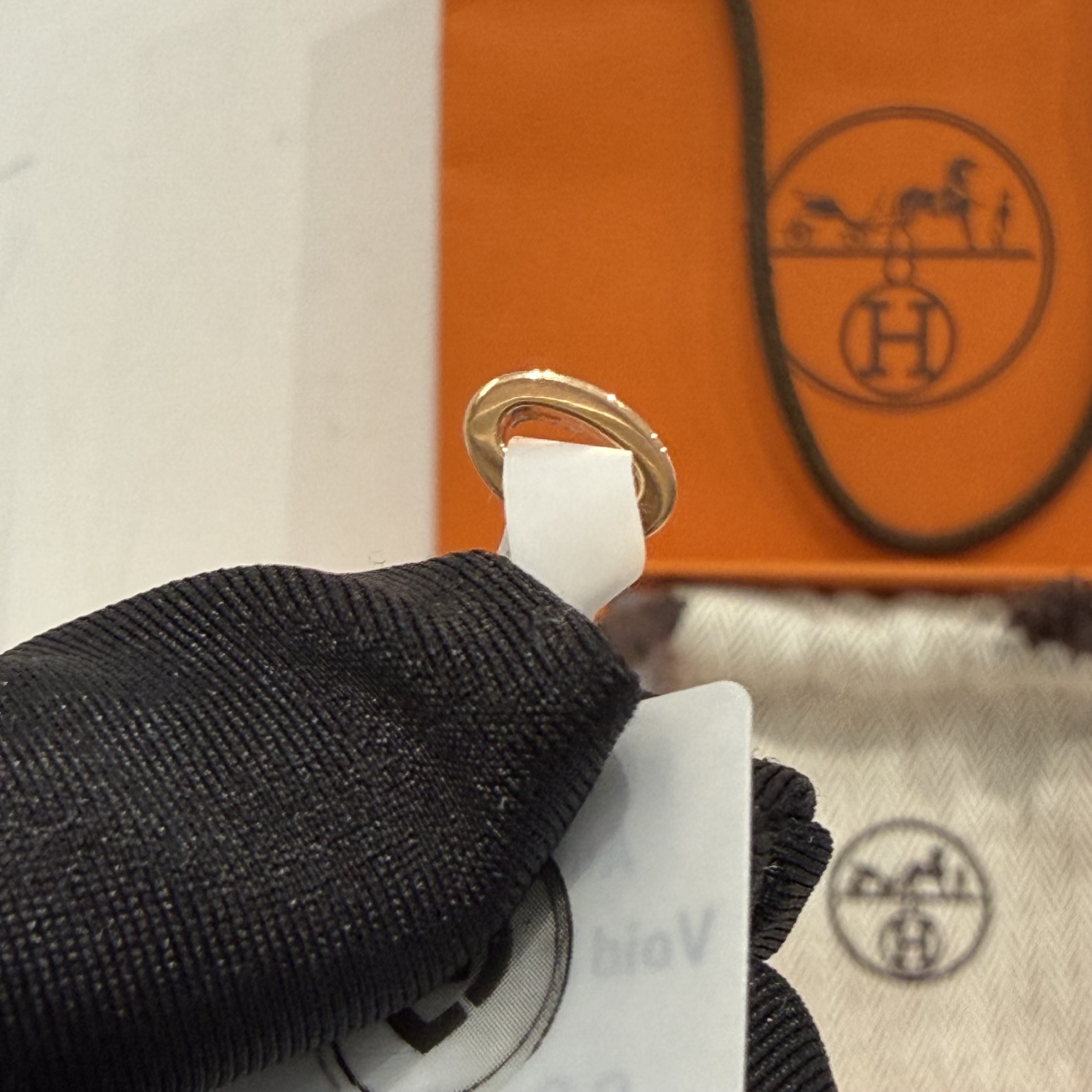 image_1904B0F1-DB2E-4BF2-8255-B635D9F03478_1762239644