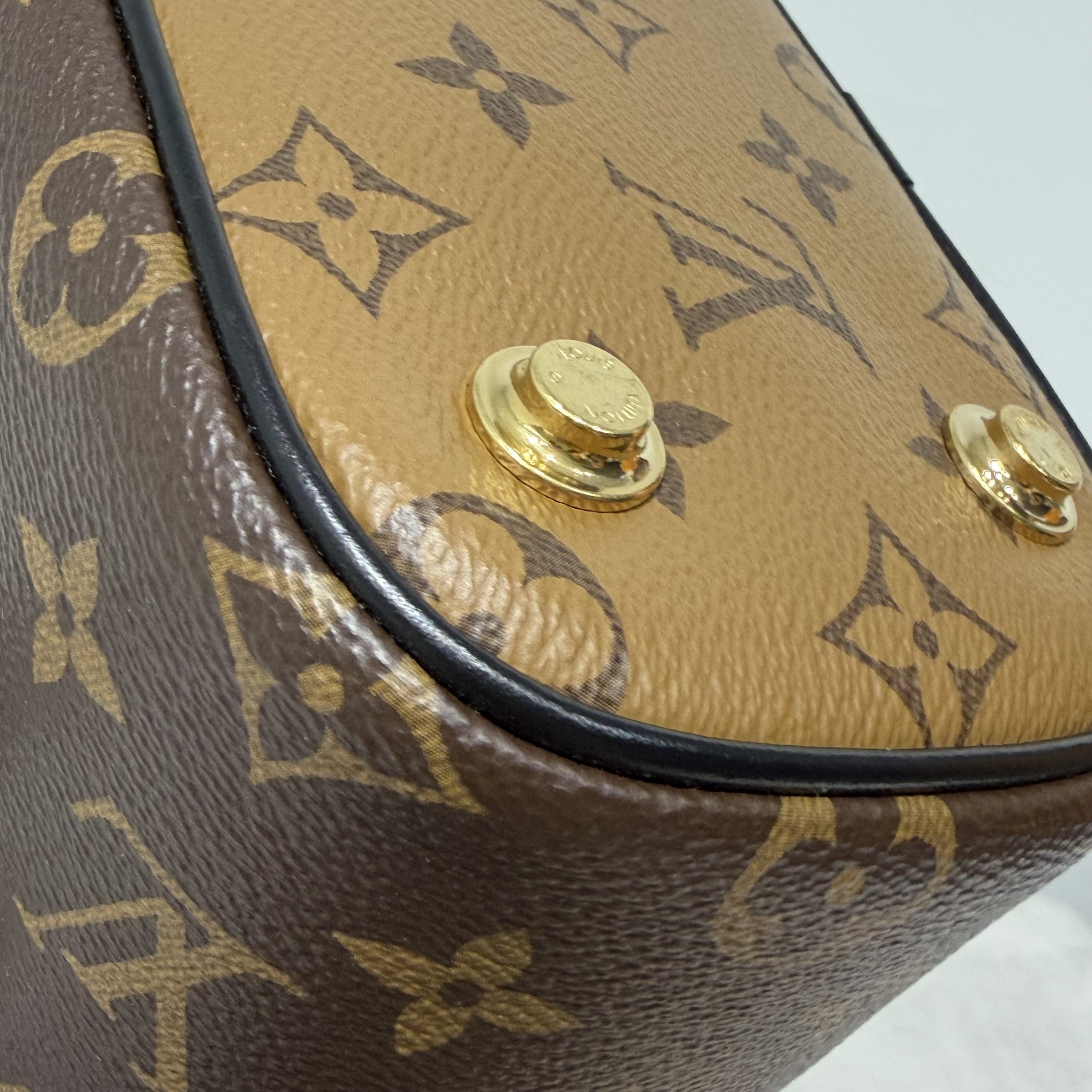 image_87C25734-B88A-42D1-94D5-29F522E4DFD8_1762847617