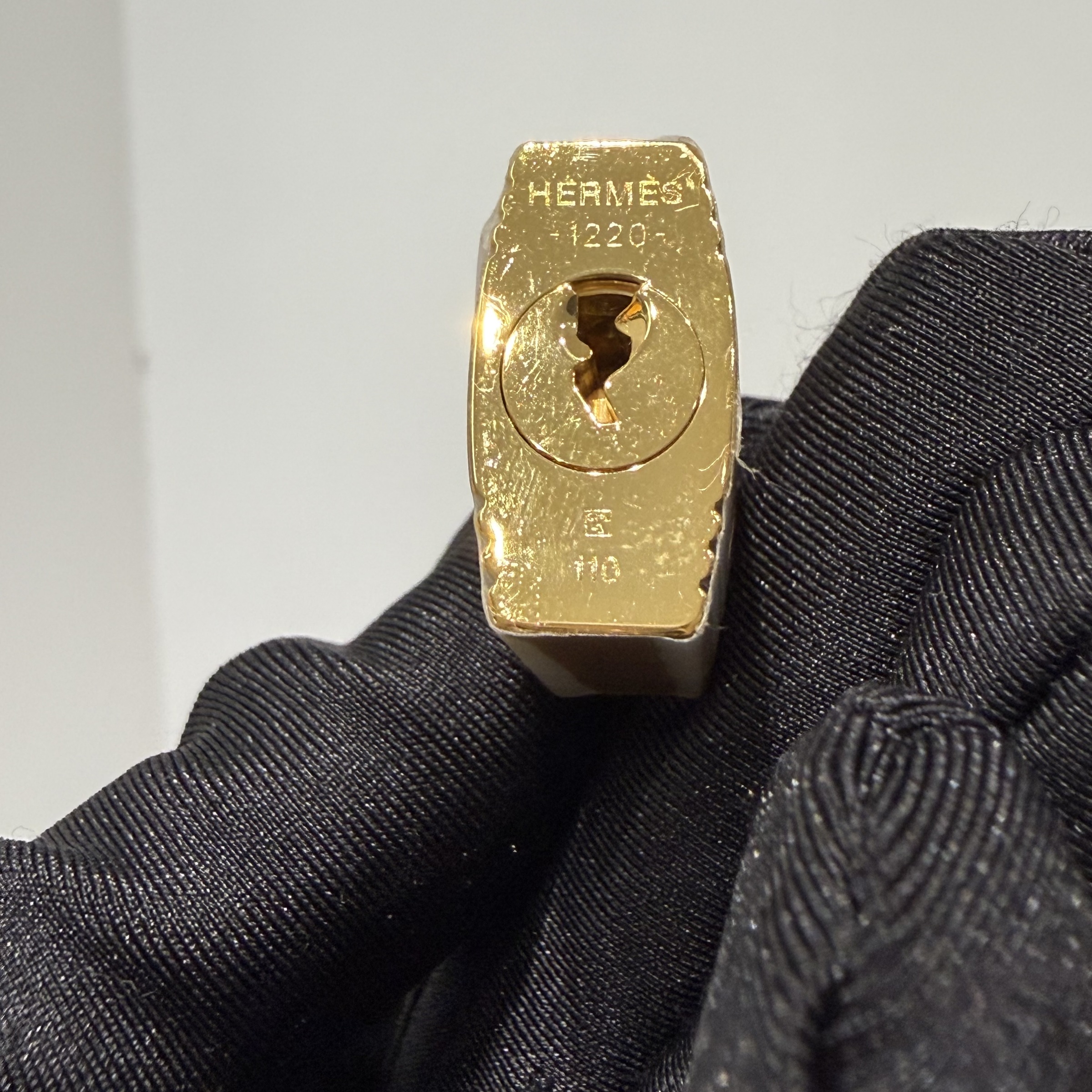 image_529C9A4F-B861-440F-A5D6-06DC85BC9F22_1763012305