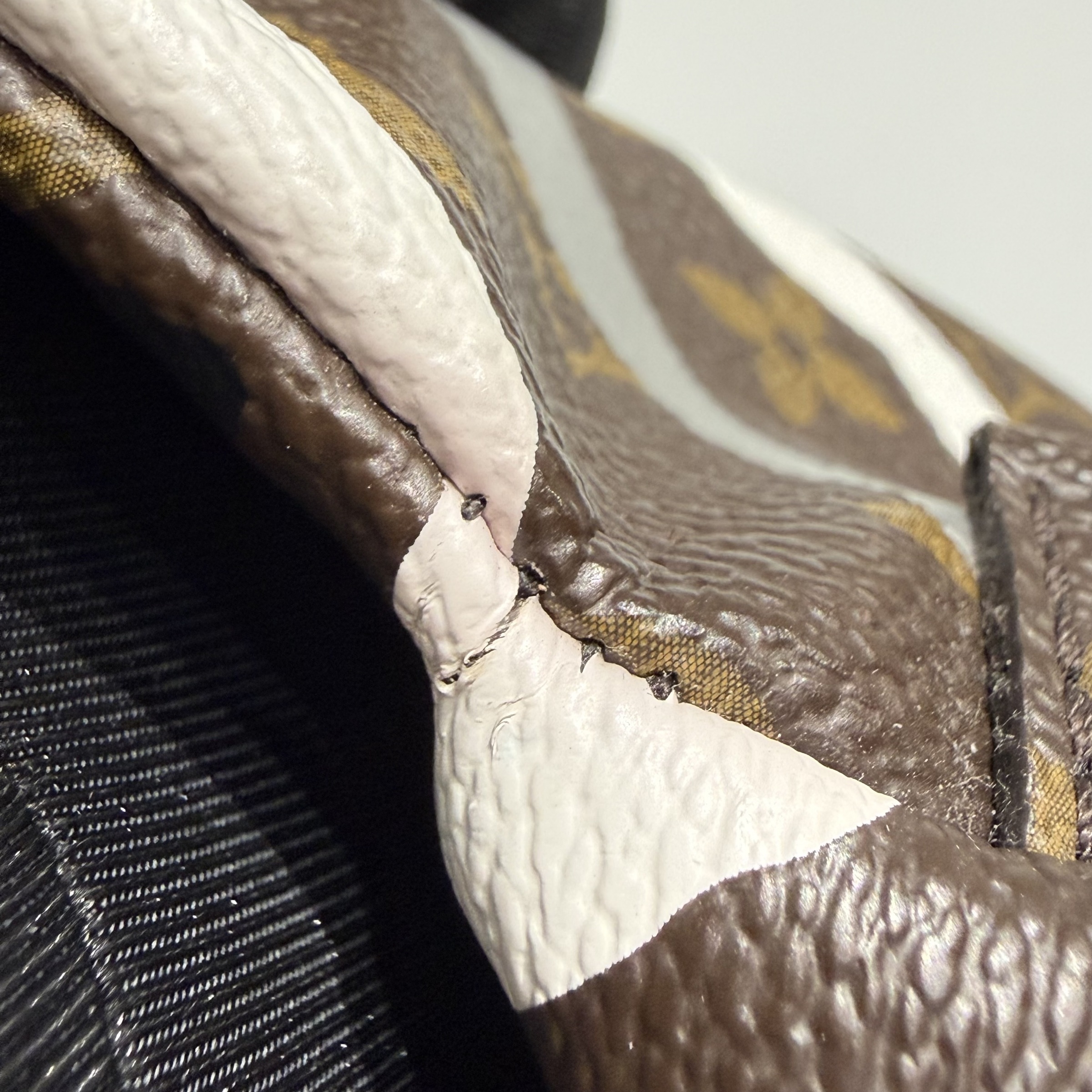 image_E344E854-2D4E-41F2-83F4-1B11838D09BE_1763358497