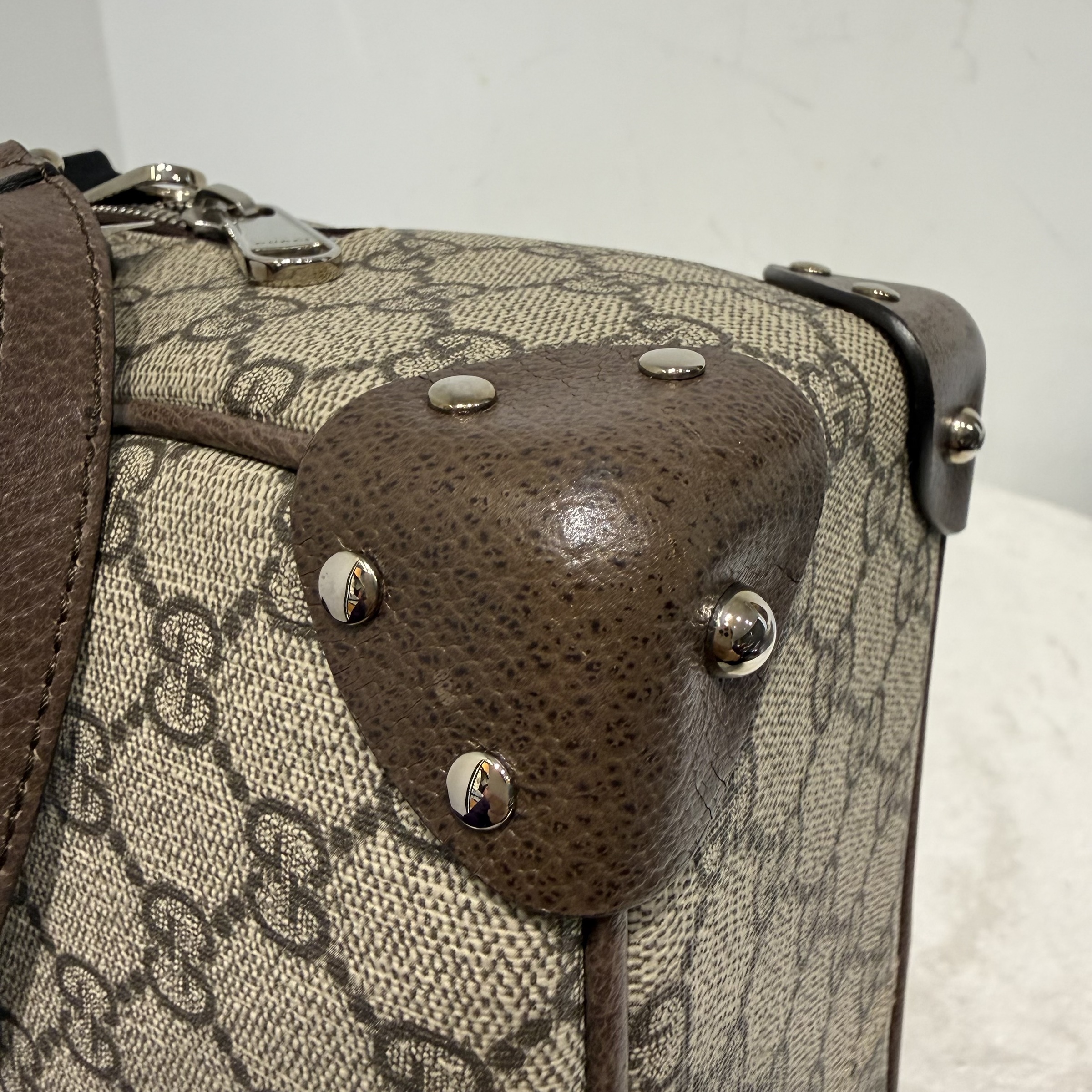 image_0A27A3C2-158B-4586-8FA3-F95D60DADF2C_1763450174