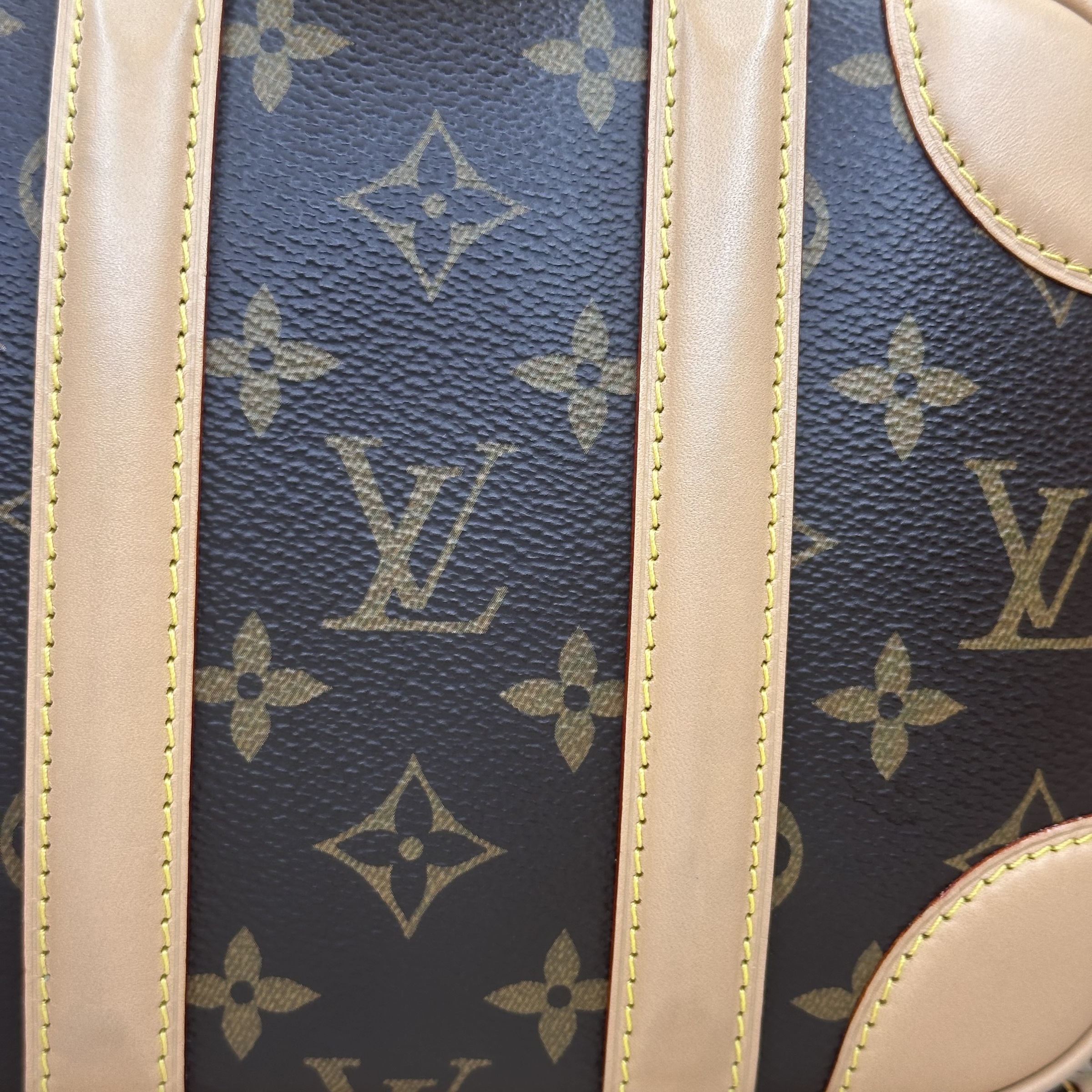 image_1C8BA390-C12B-4FA0-9749-B506C2BCDE11_1763715505