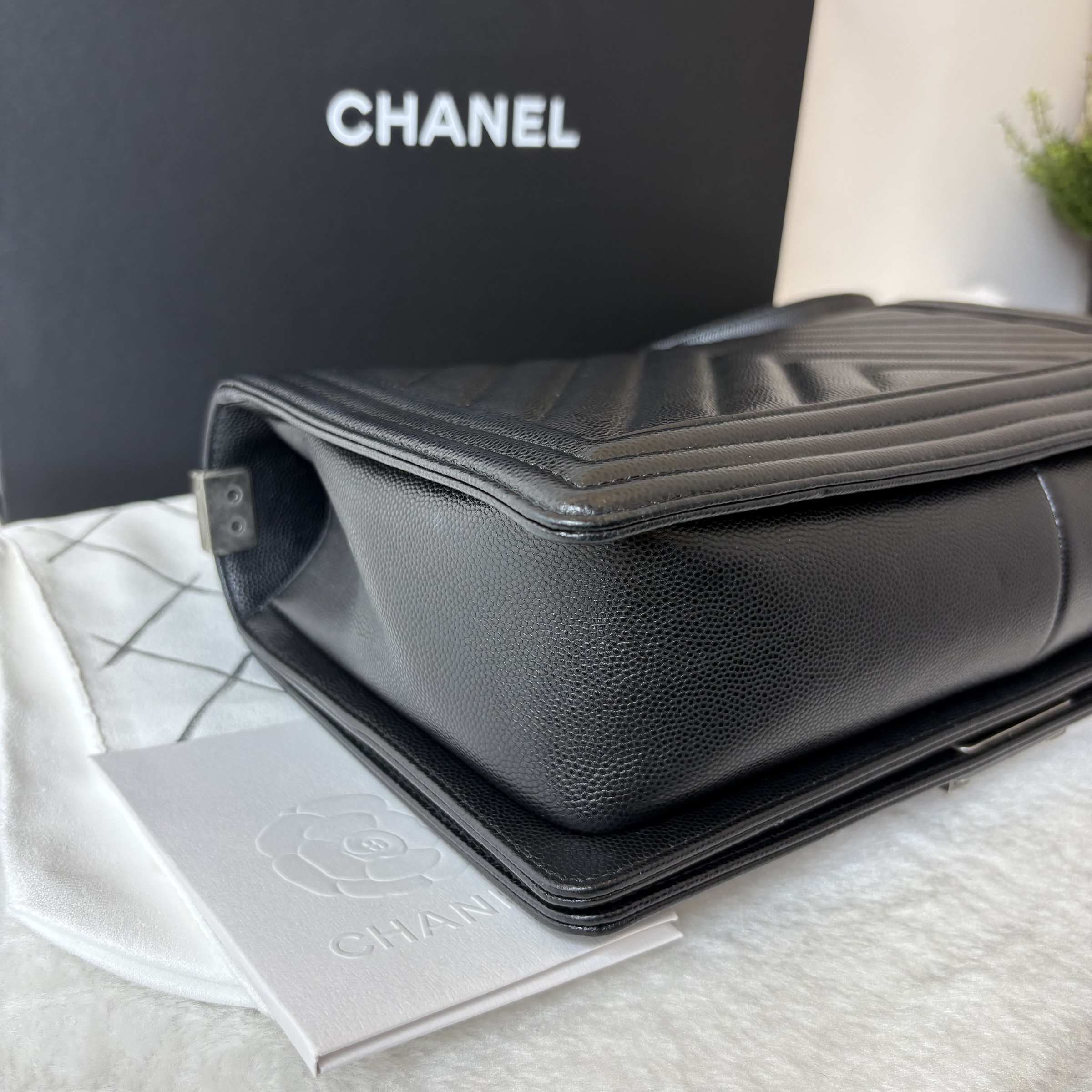 image_F3238DB9-85FF-44F1-8329-7D461F5EB5D4_1764148707