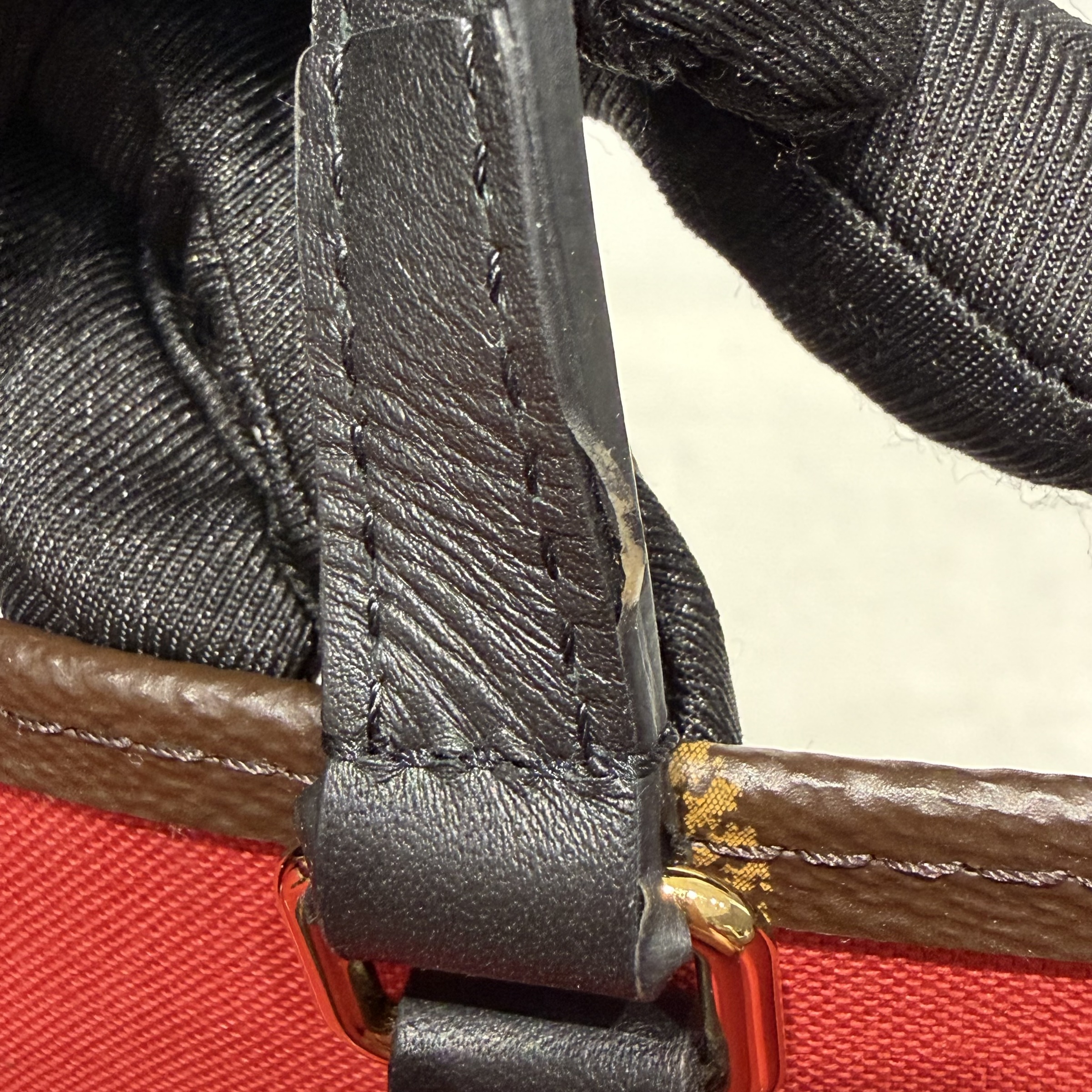 image_056B1445-D2E9-4103-B886-B6C0F748F7CE_1764302968