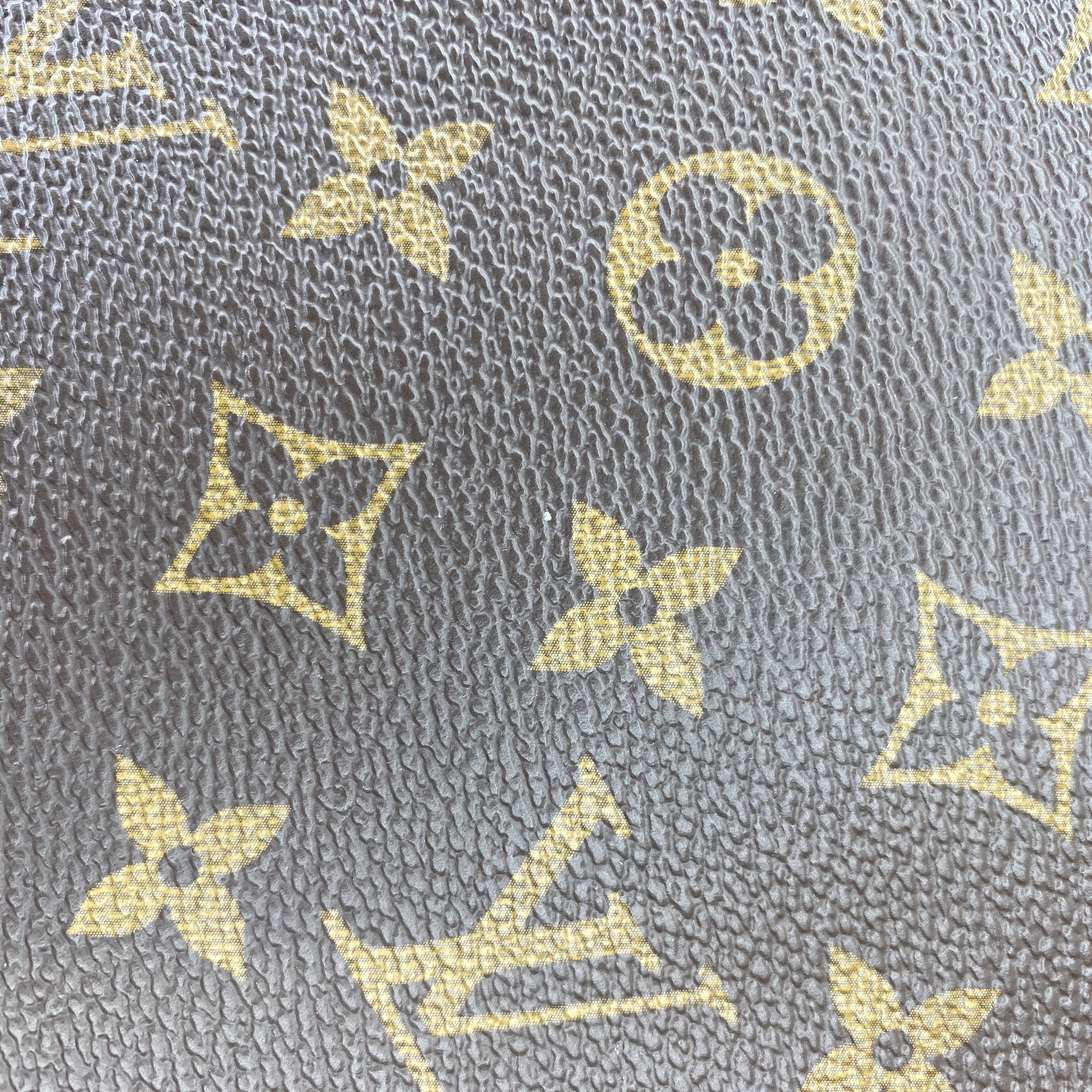 IMG_8395-1764403301111