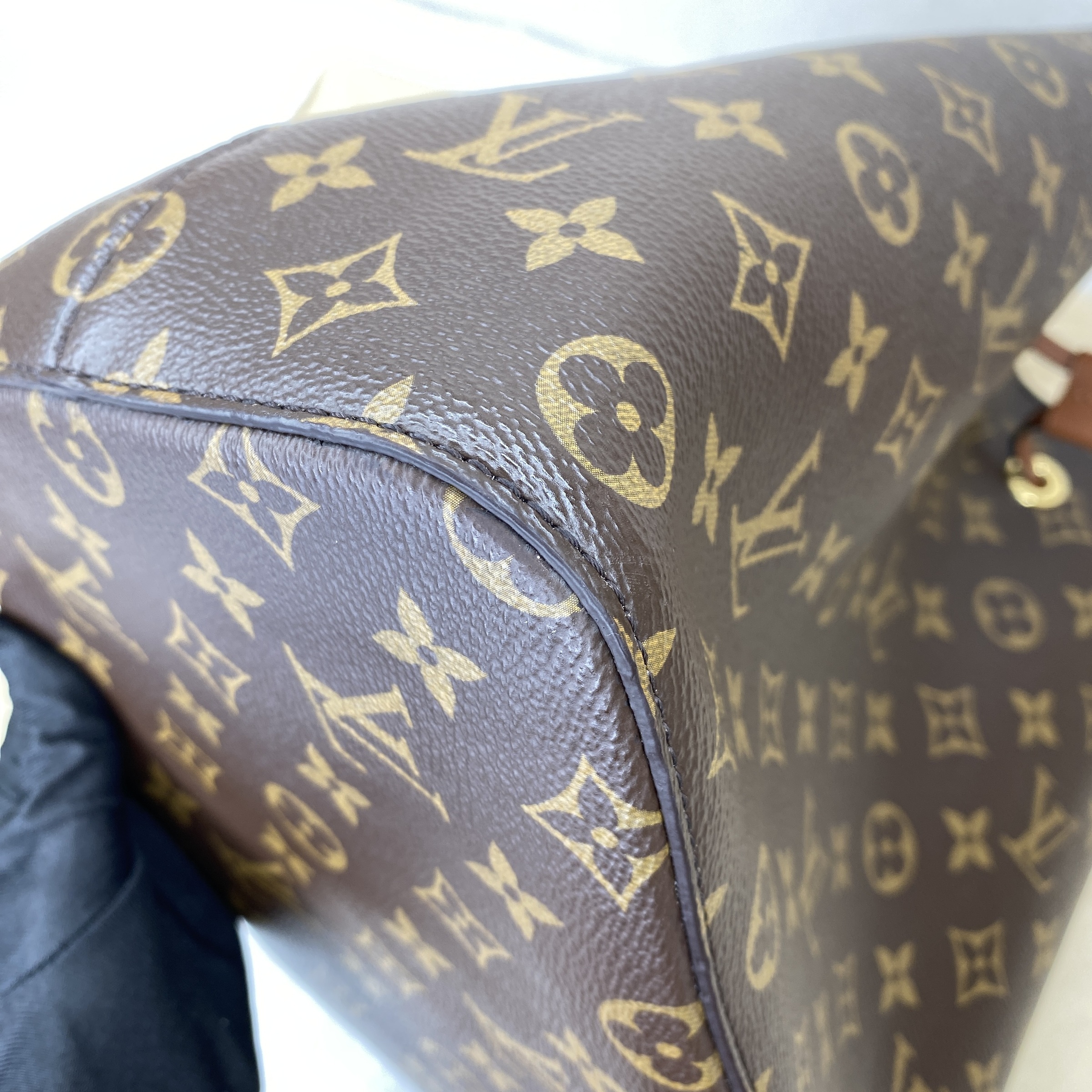 IMG_8450-1764406671968