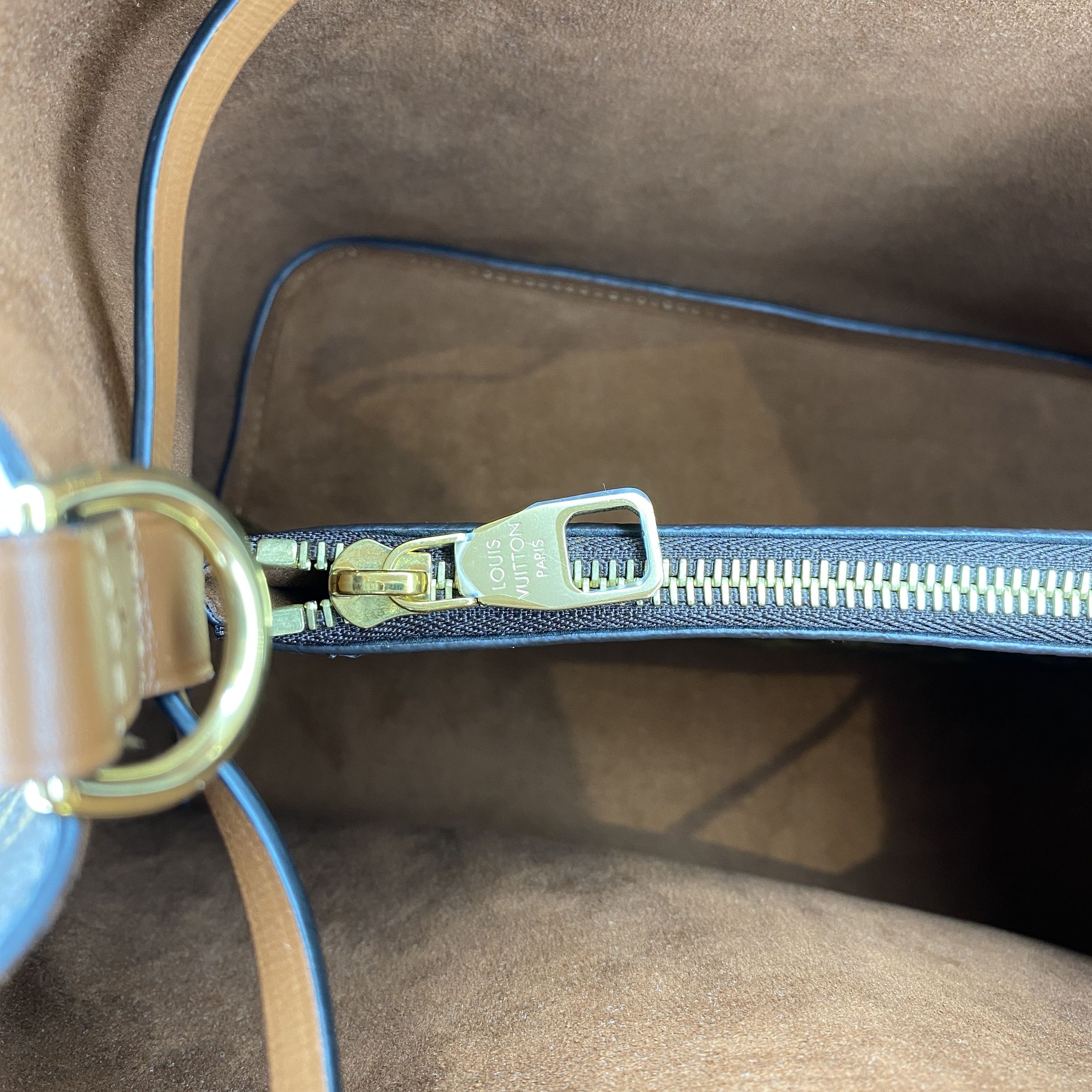 IMG_8461-1764406673223