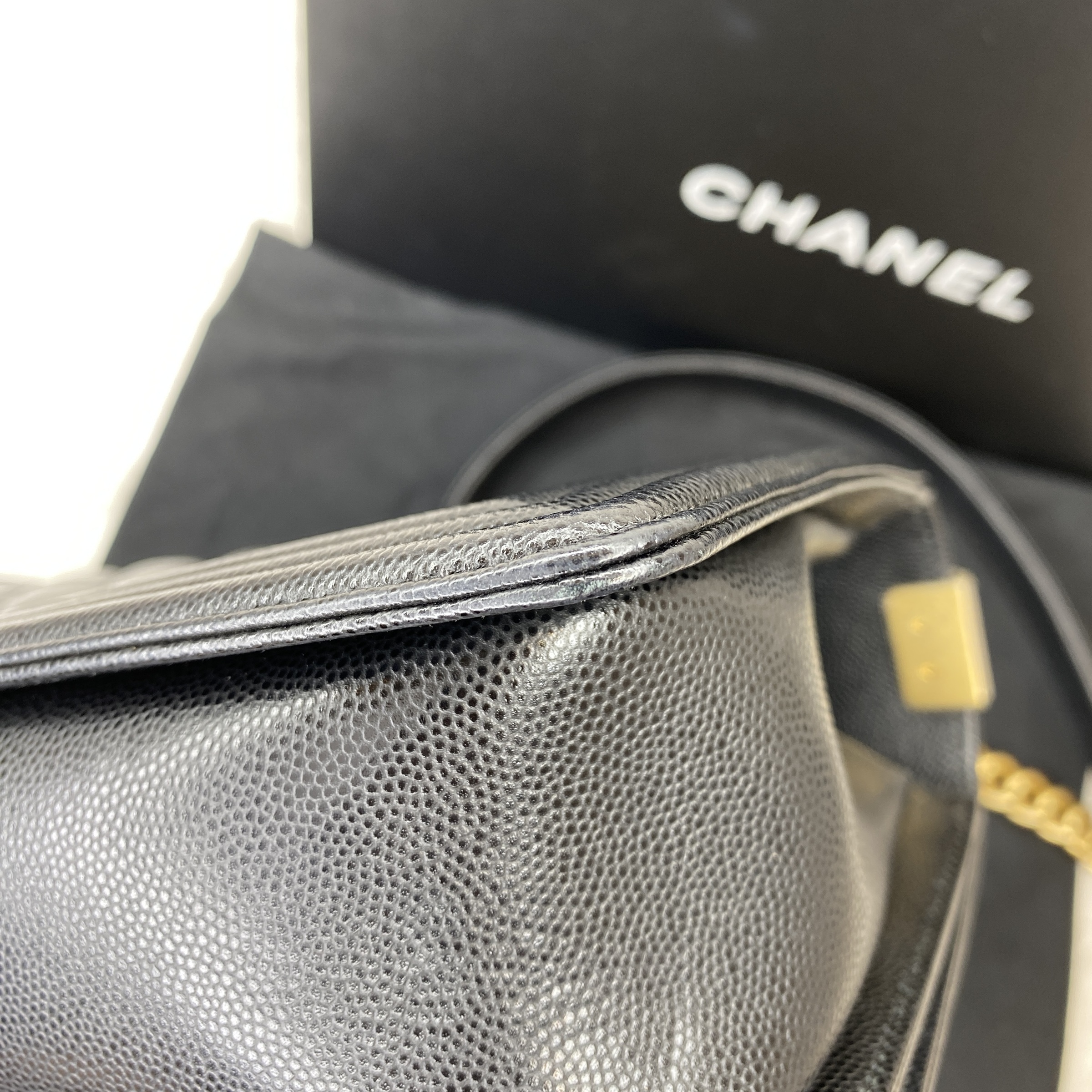 IMG_8597-1764411639806