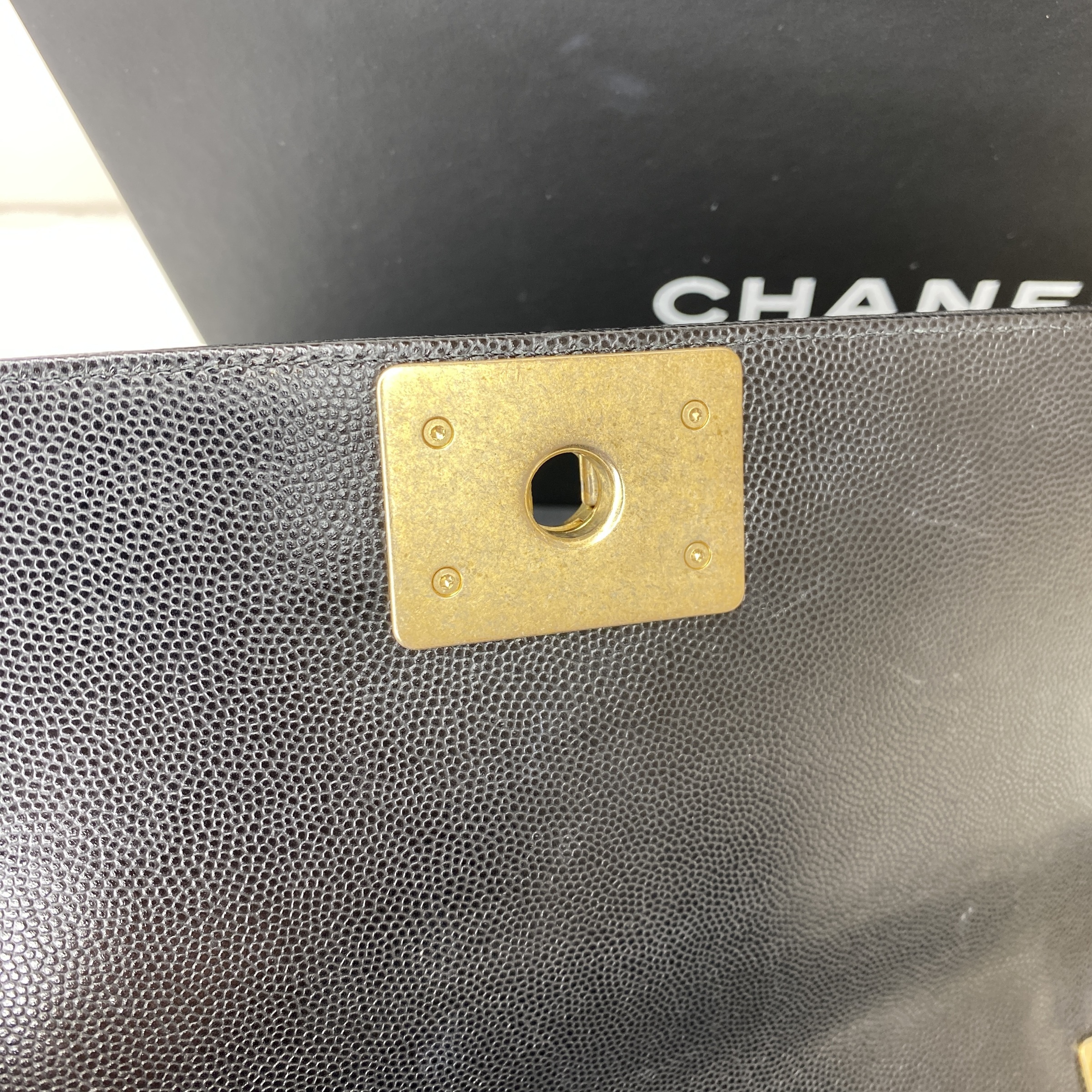 IMG_8600-1764411640166