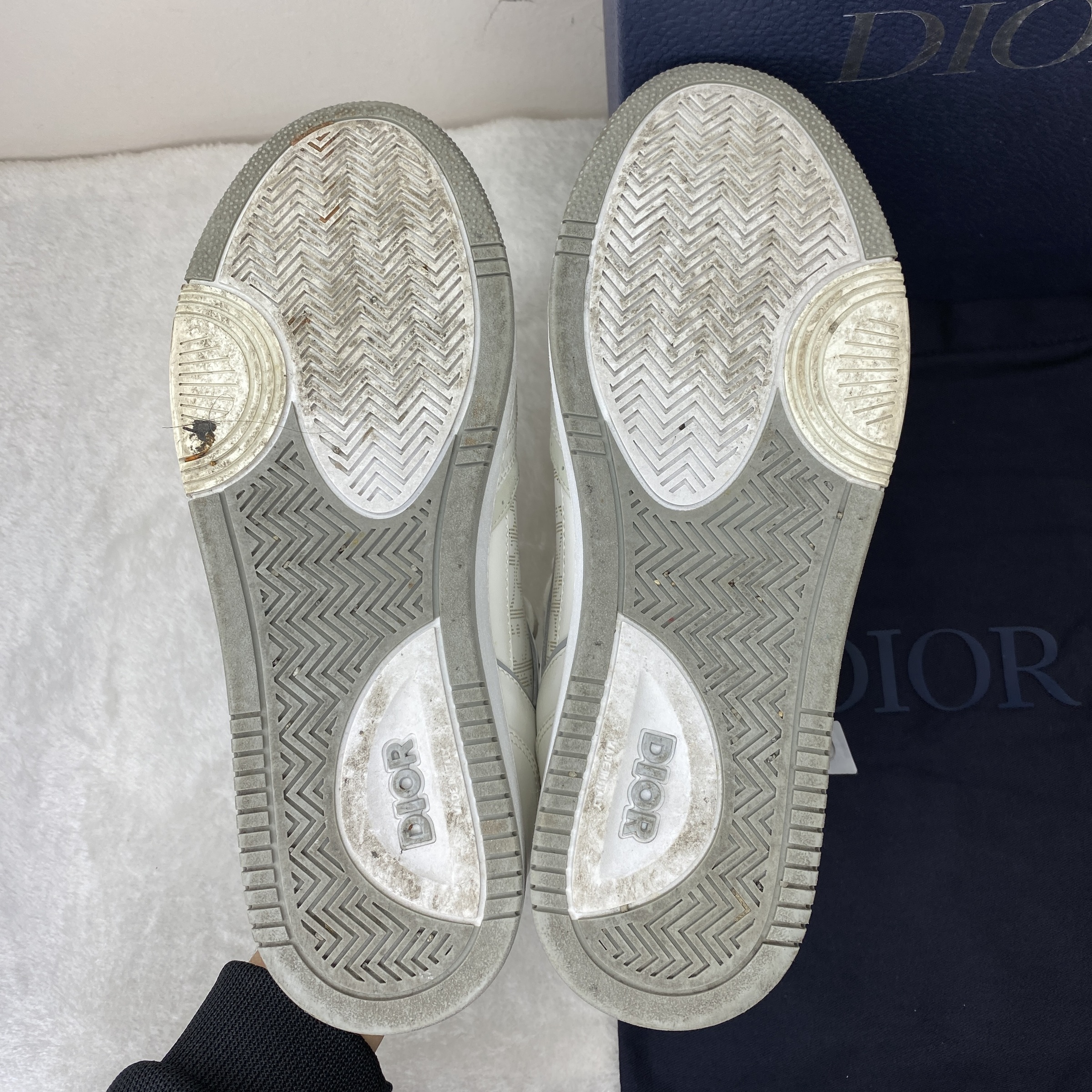 IMG_8650-1764486336507