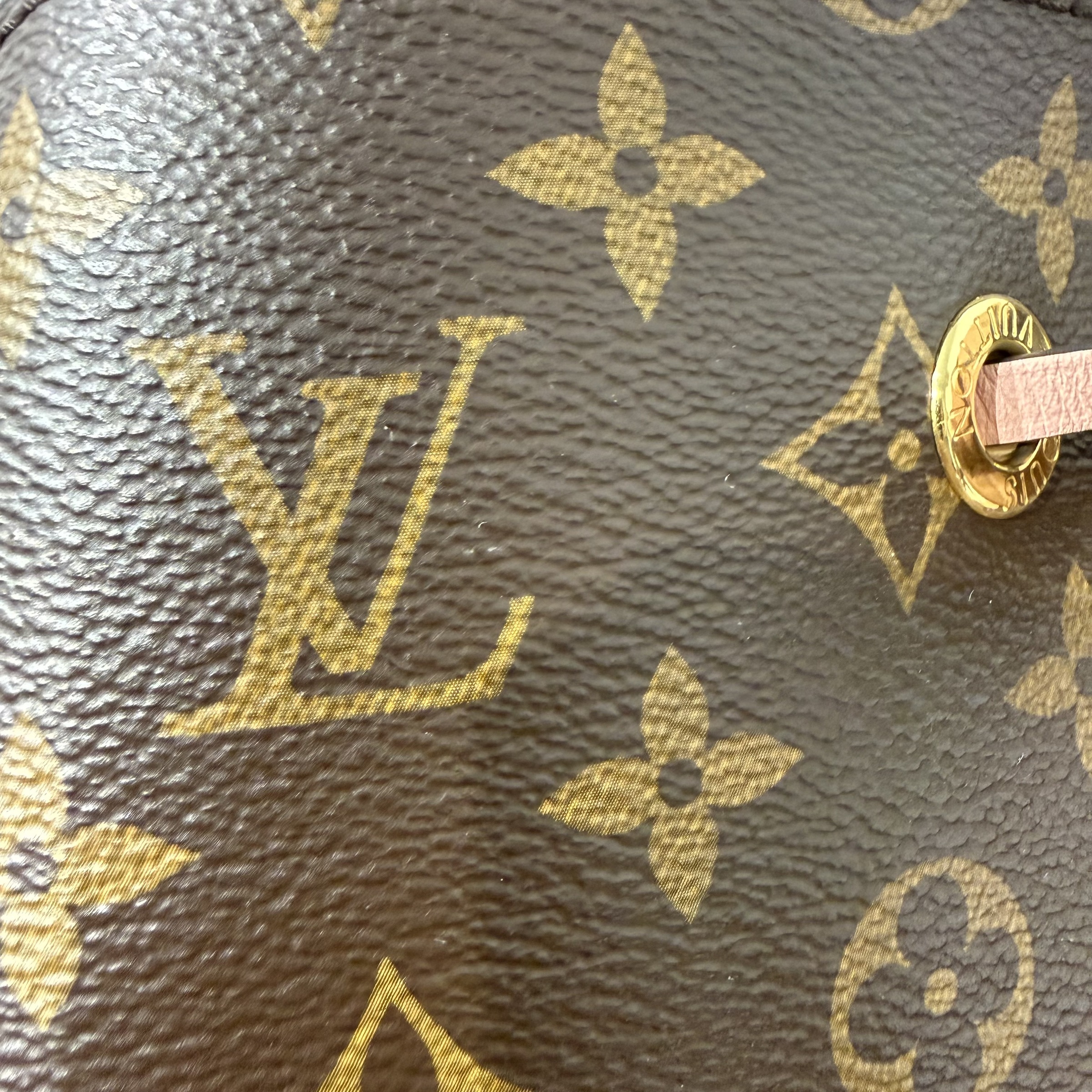 image_D1F3136E-415D-41D5-9AE8-46FDF700654E_1764757876