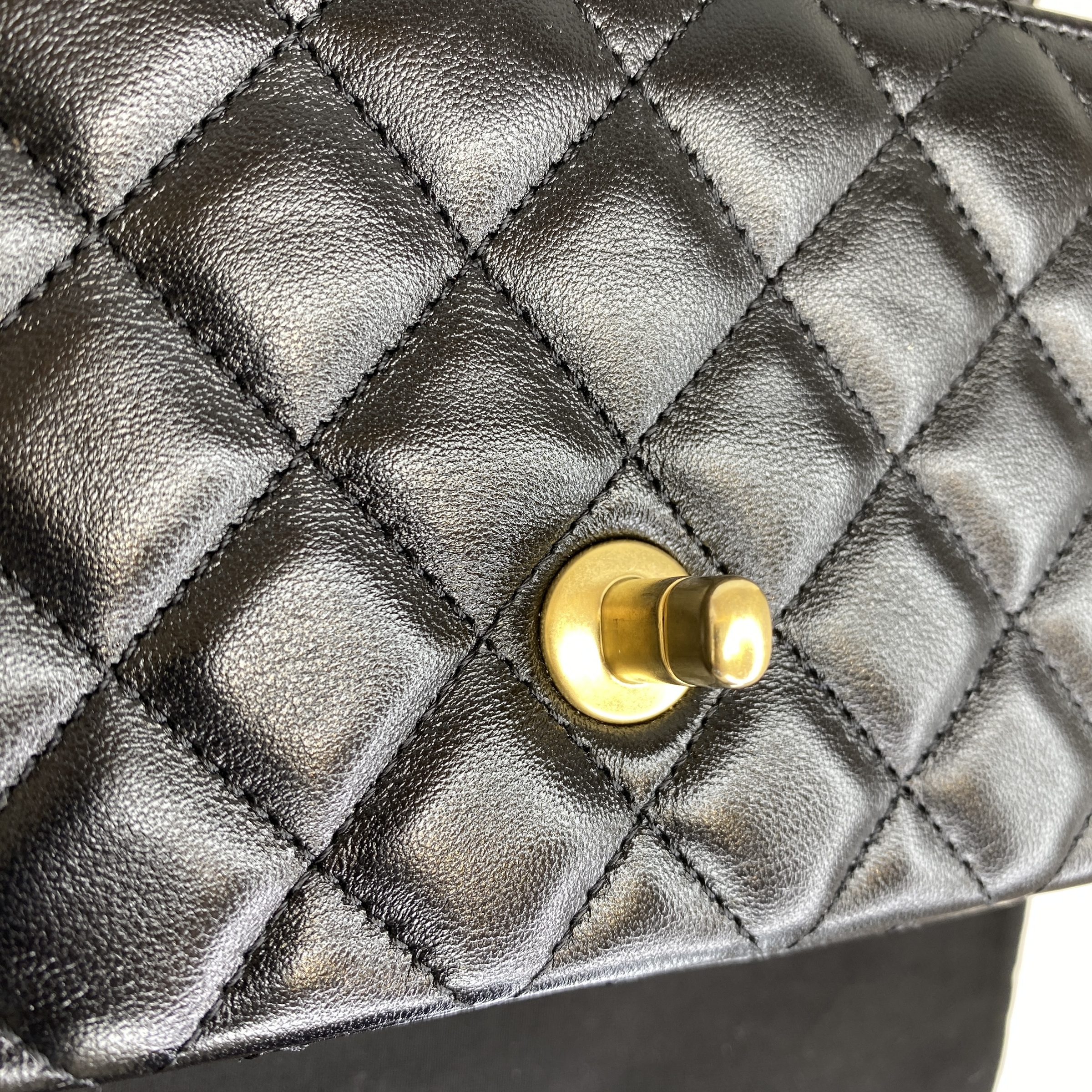 IMG_9439-1764928276472