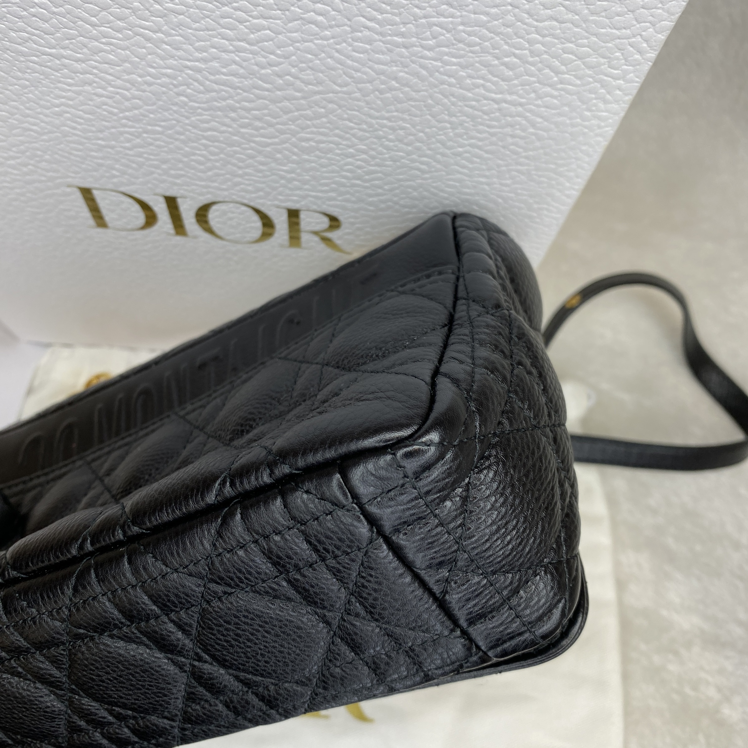 IMG_9543-1764930816544