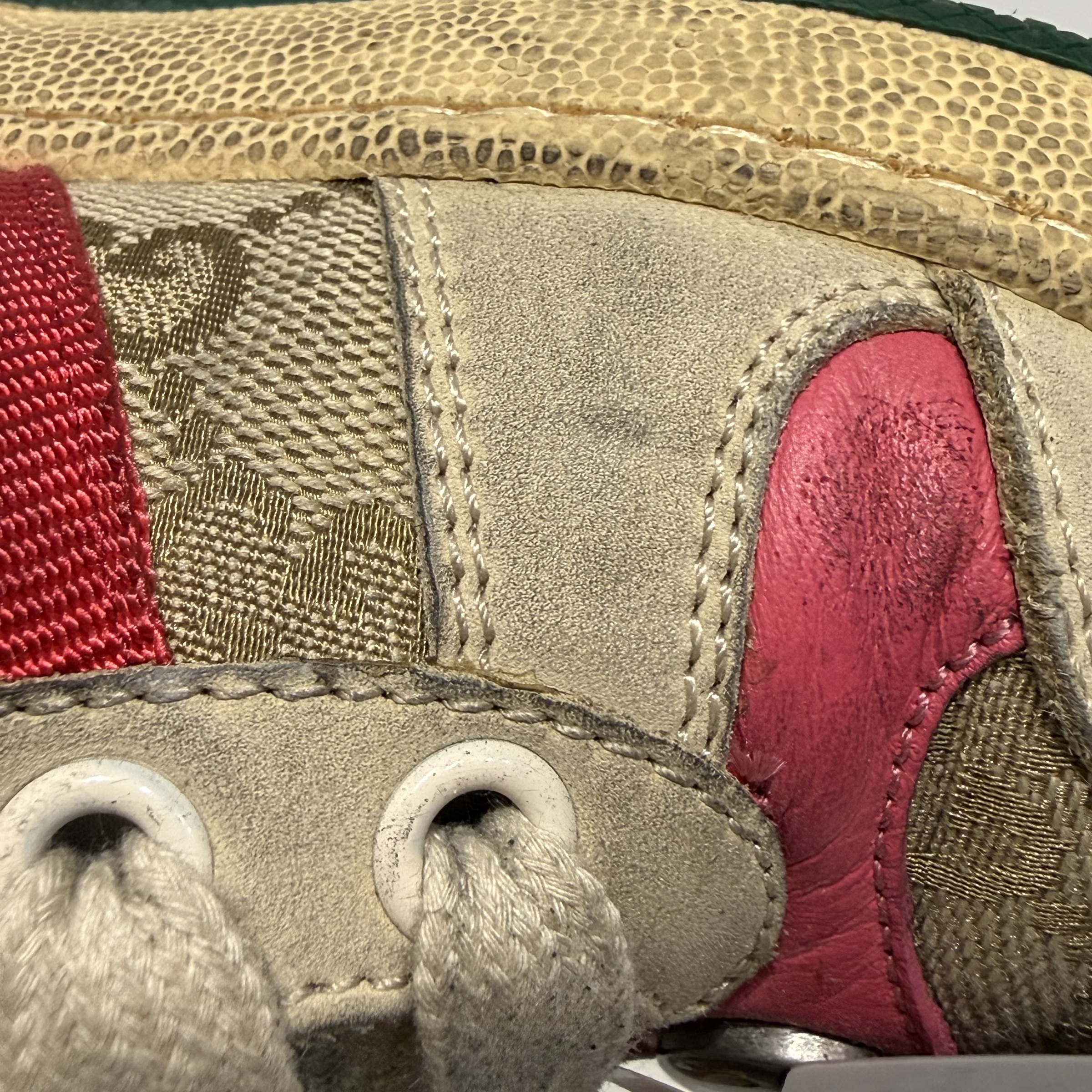 image_72C0C704-3992-4188-98C9-AFA290D7138C_1765163391