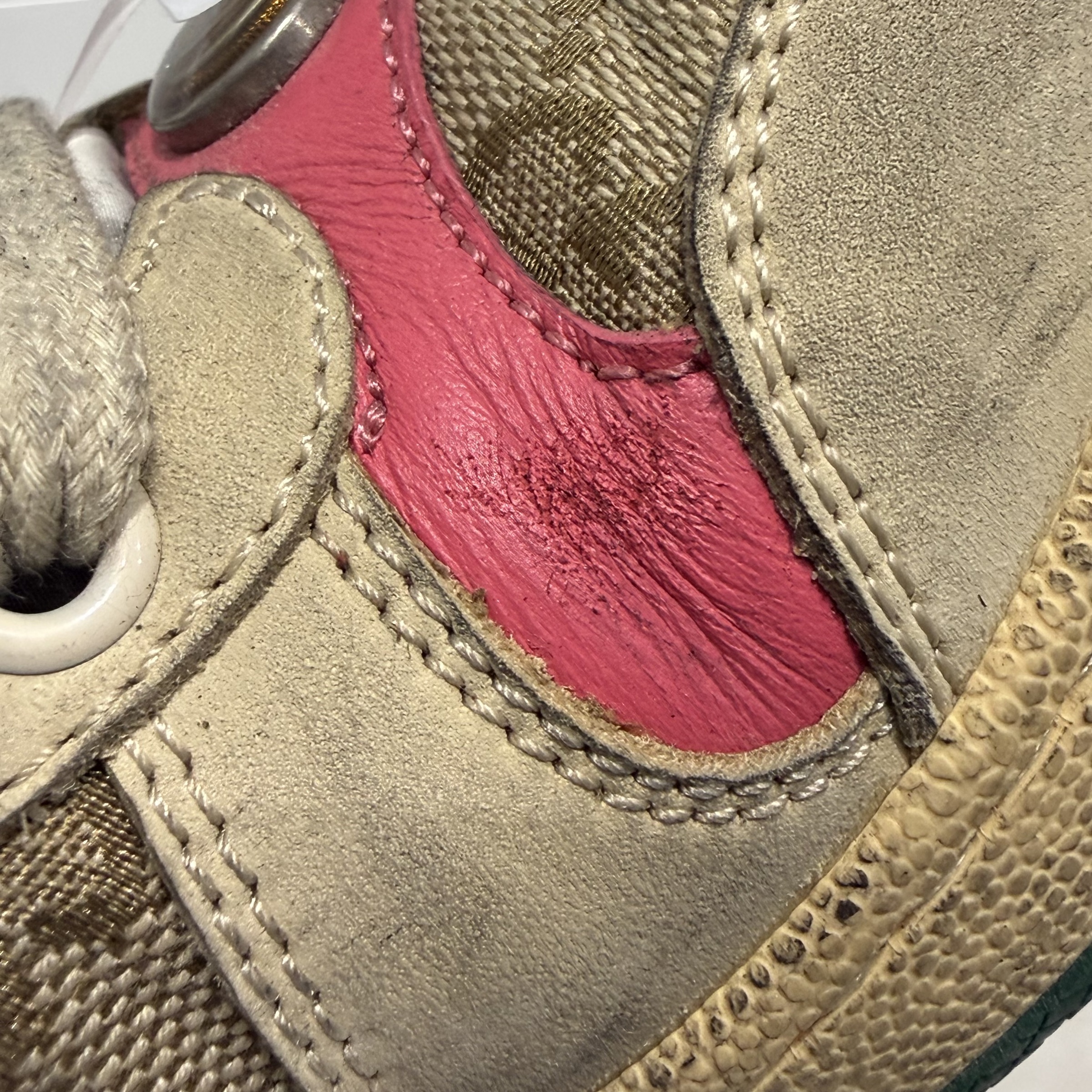 image_B0F9DA26-ED1A-4C7C-AD6E-257936450CBE_1765163393