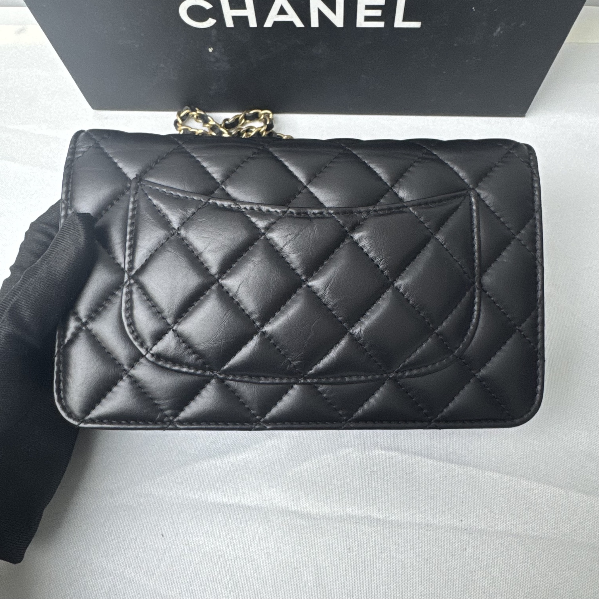 image_F787FF4B-6B22-4149-82B3-CB64F90E51F3_1765340969