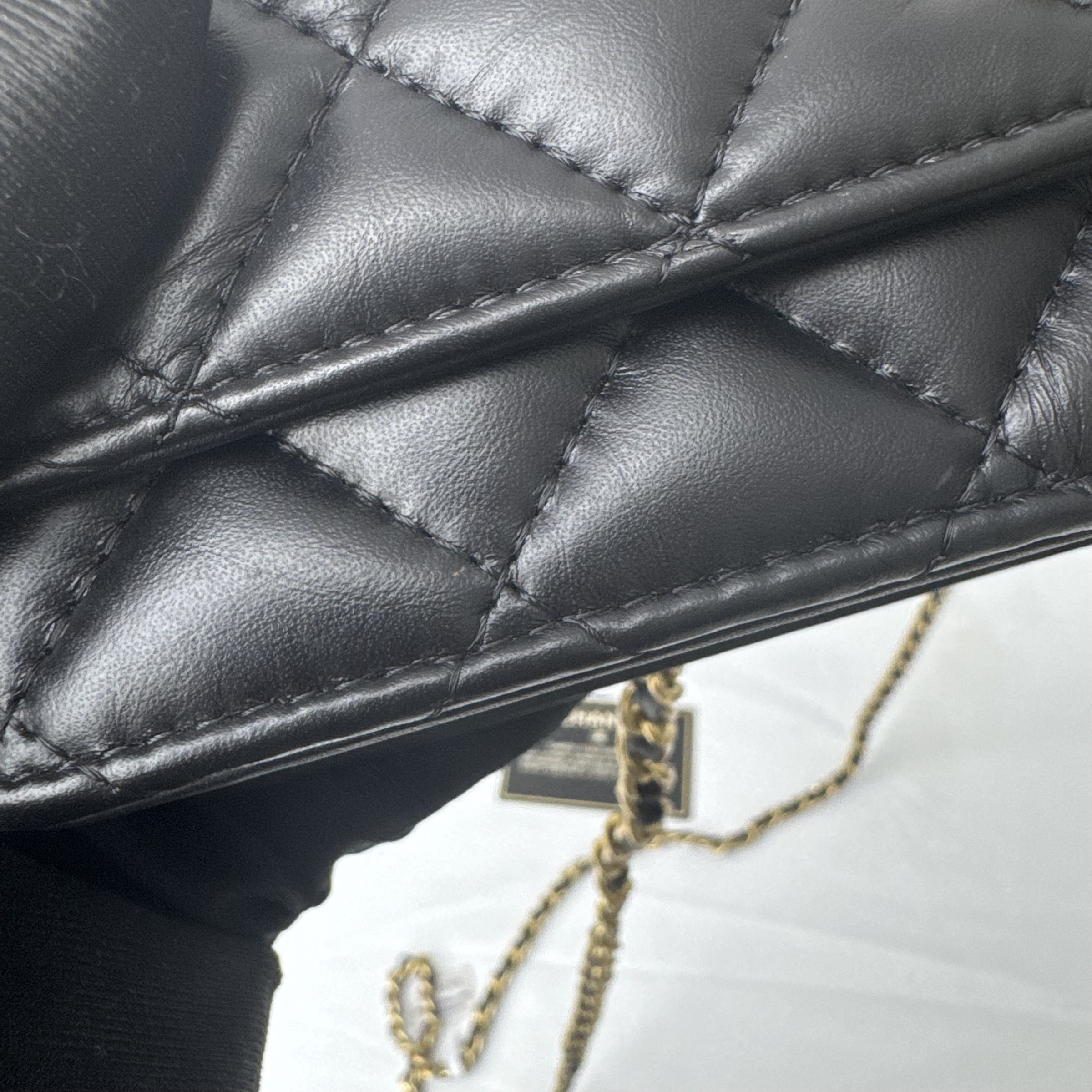 image_50B8E622-6BDC-4381-8F61-6F82C2ED498D_1765340970