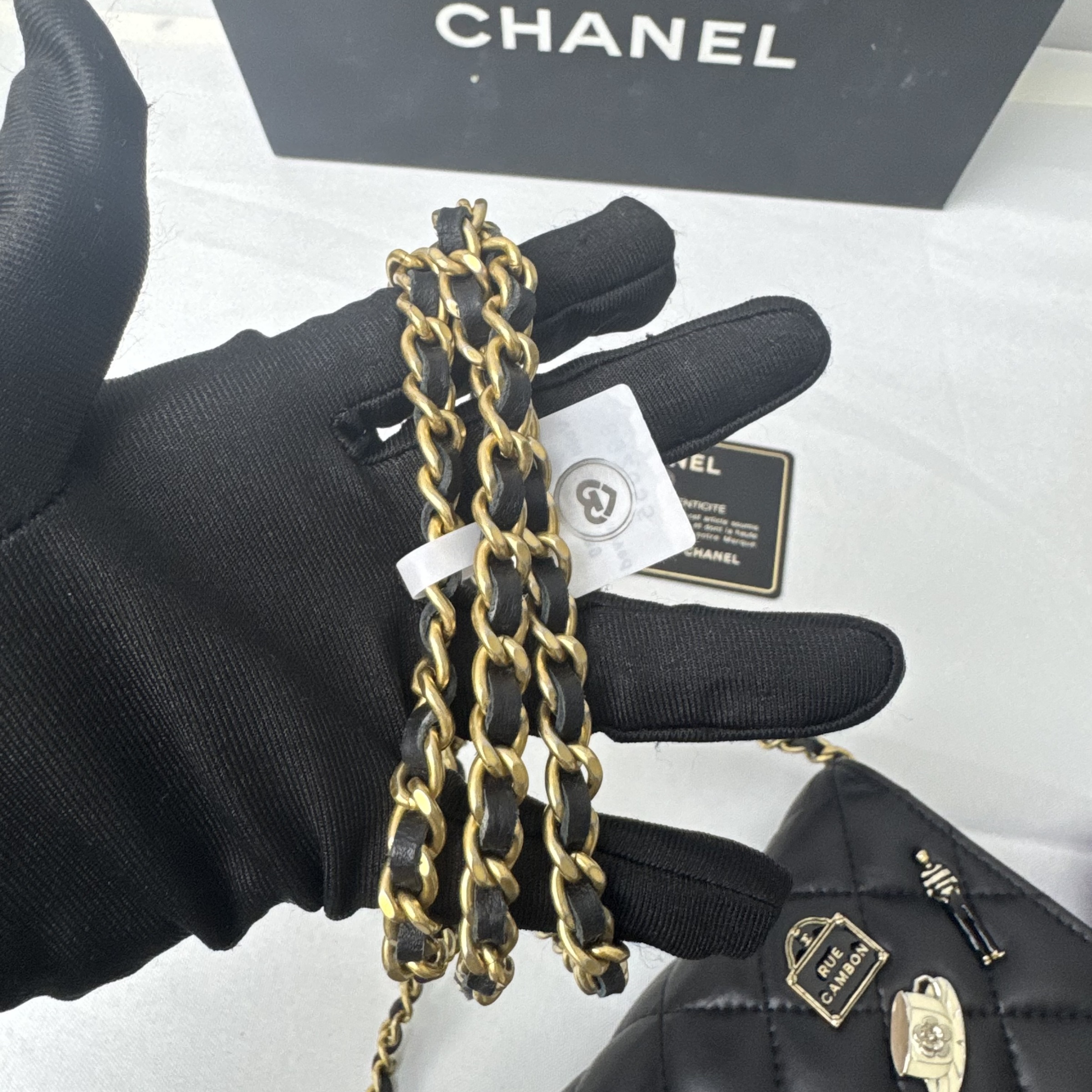 image_9C07F55B-6E81-4C66-9038-738DE94F053B_1765340970