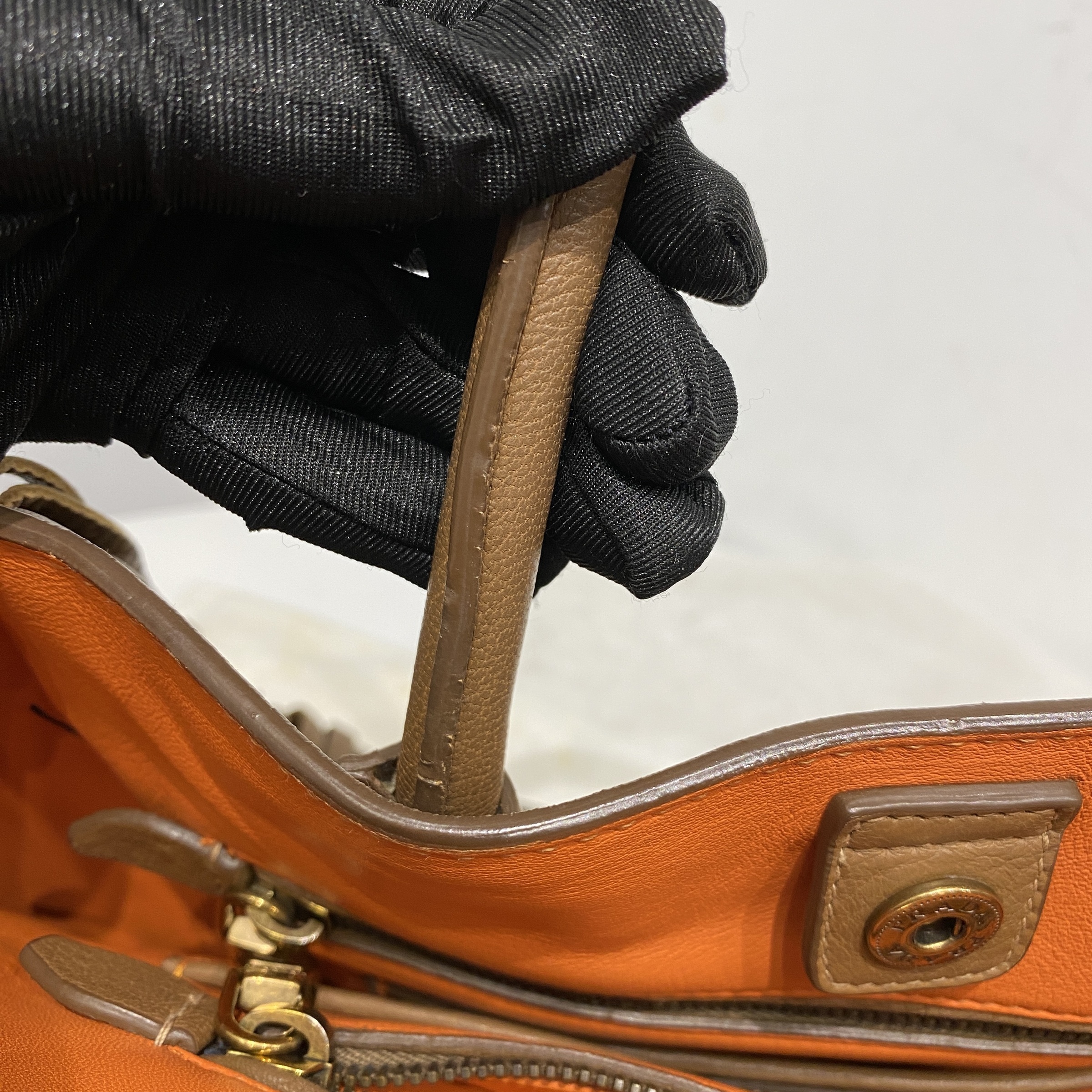 IMG_0337-1765442990900