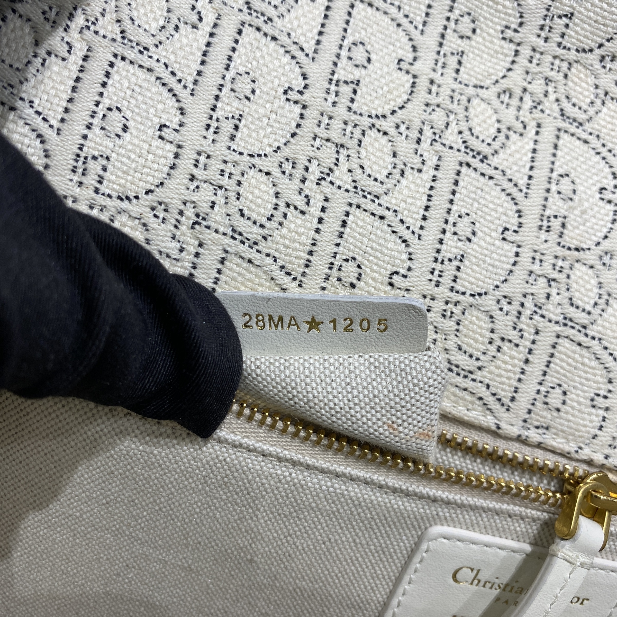 IMG_0430-1765504900631