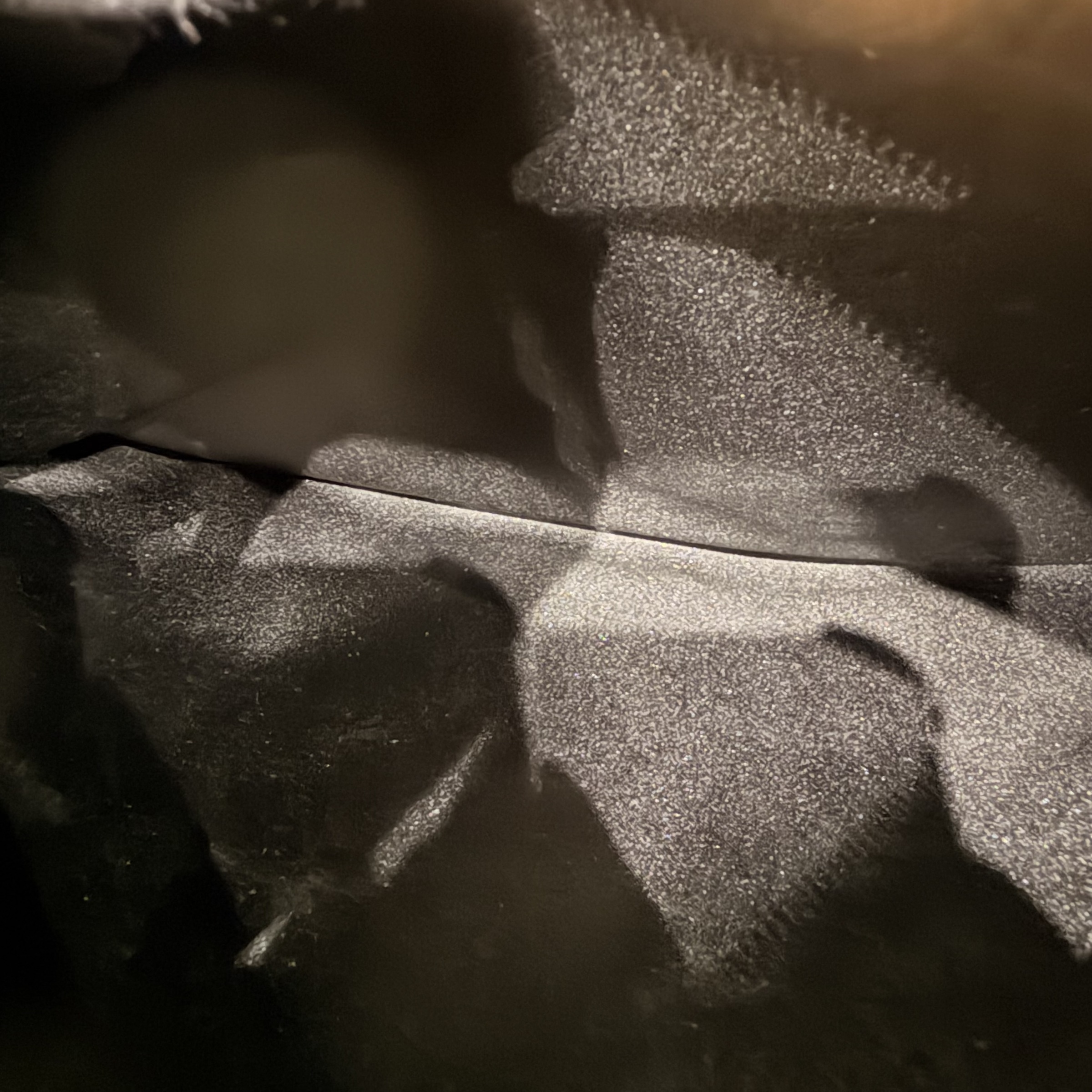 image_CDF8F3A6-9EC3-4238-96E6-5B7E8EFE57C7_1765531798